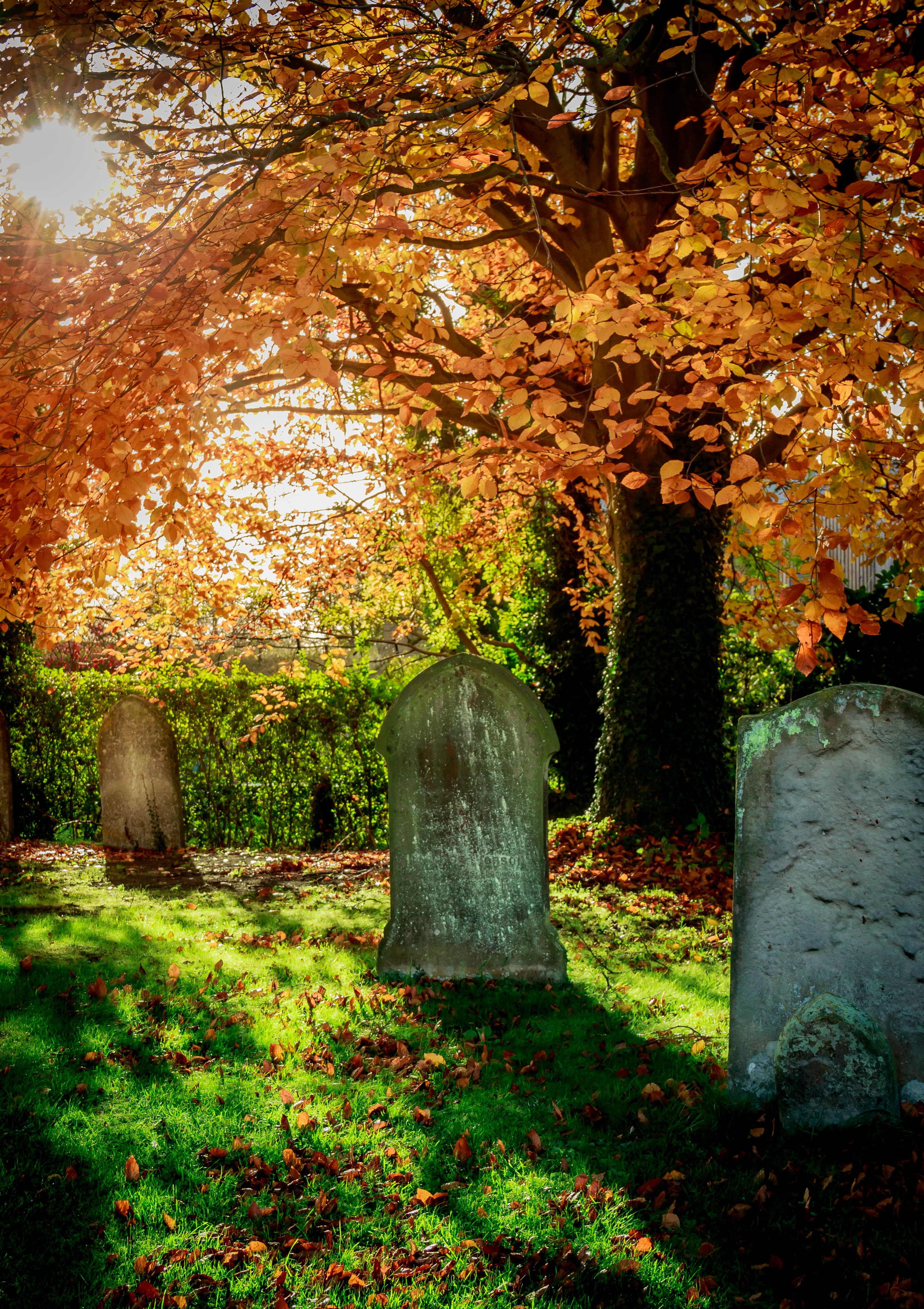 Autumn cemetery path.