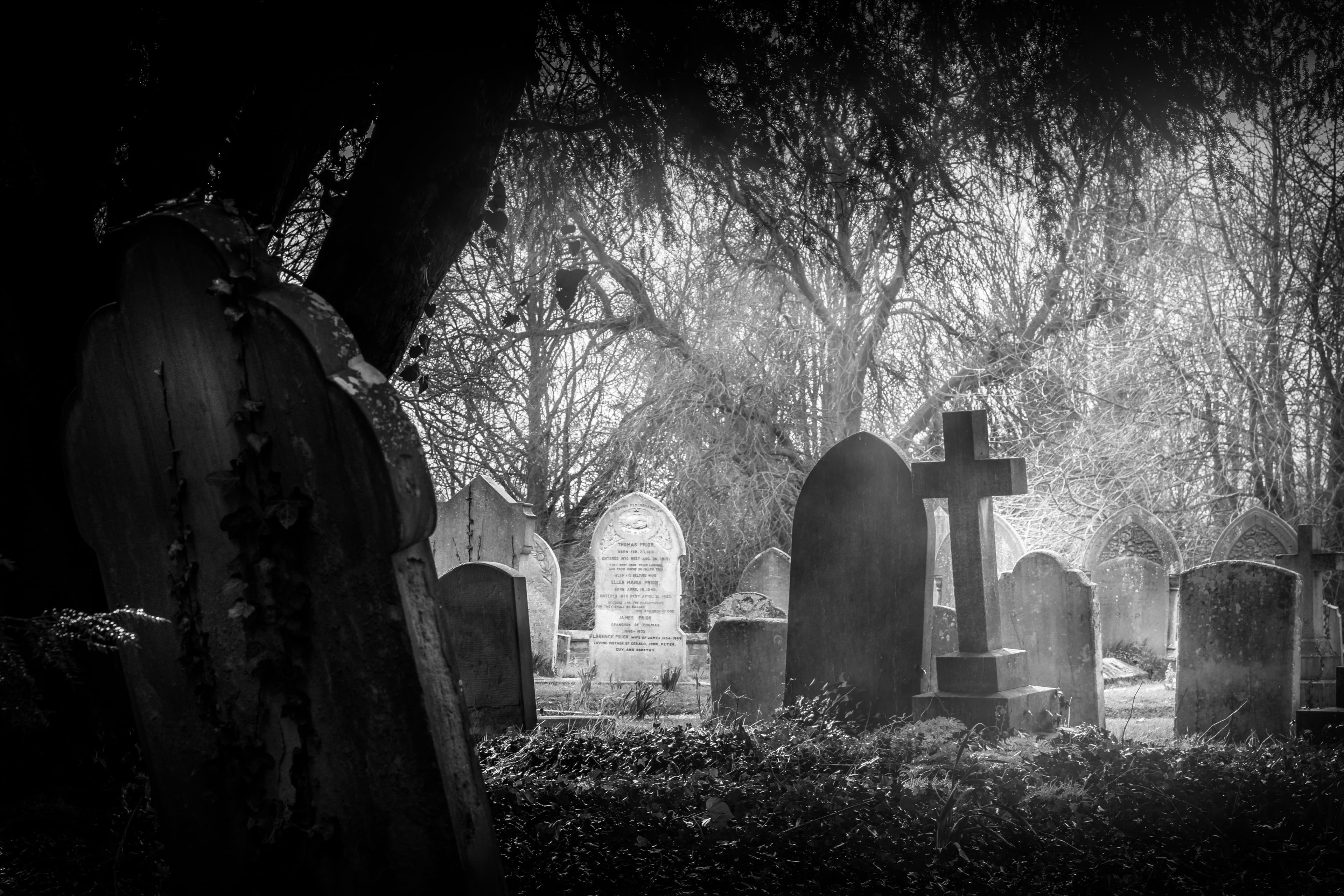 Gravestones with morning light.