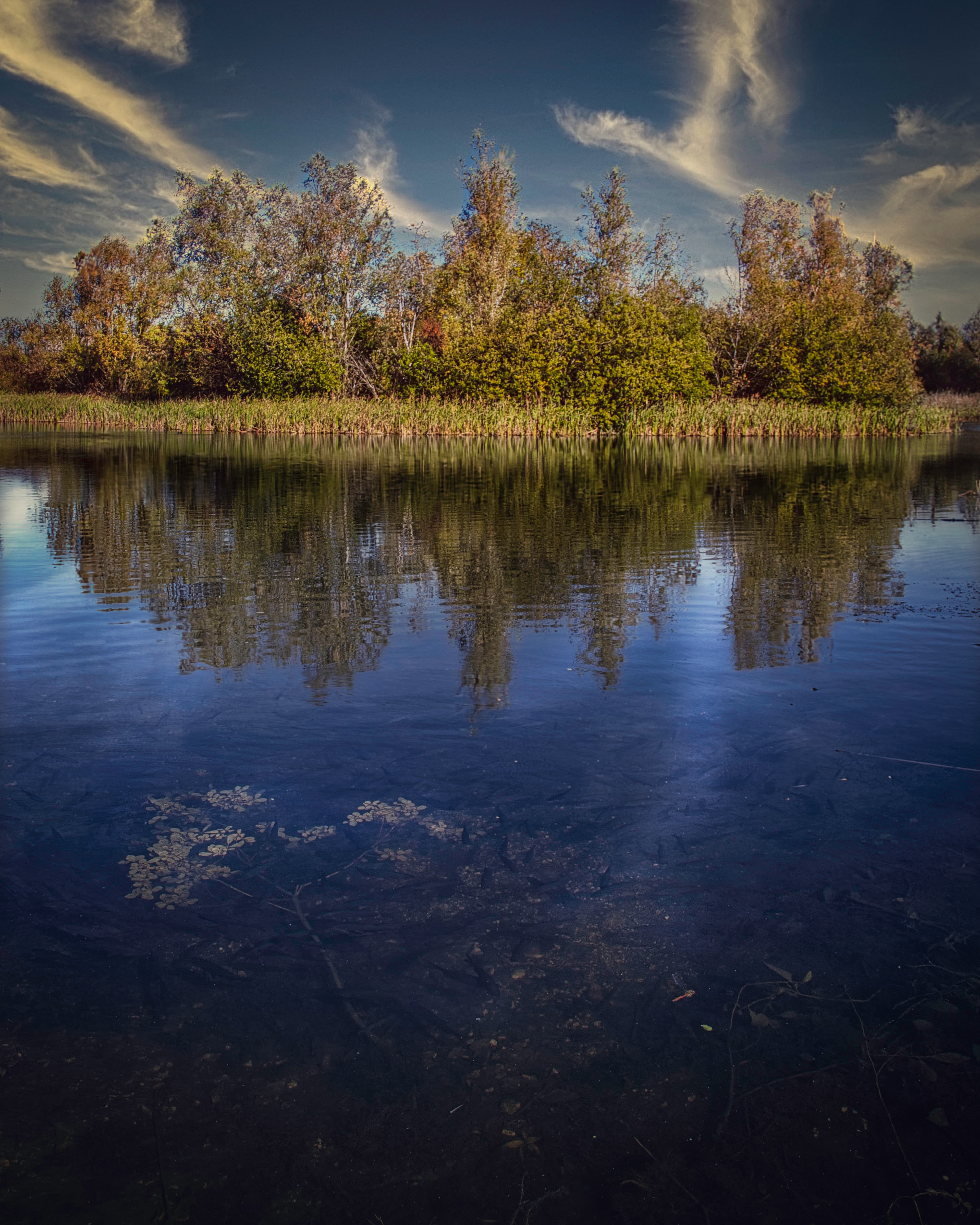 Autumn reflections at Cambourne Lake.