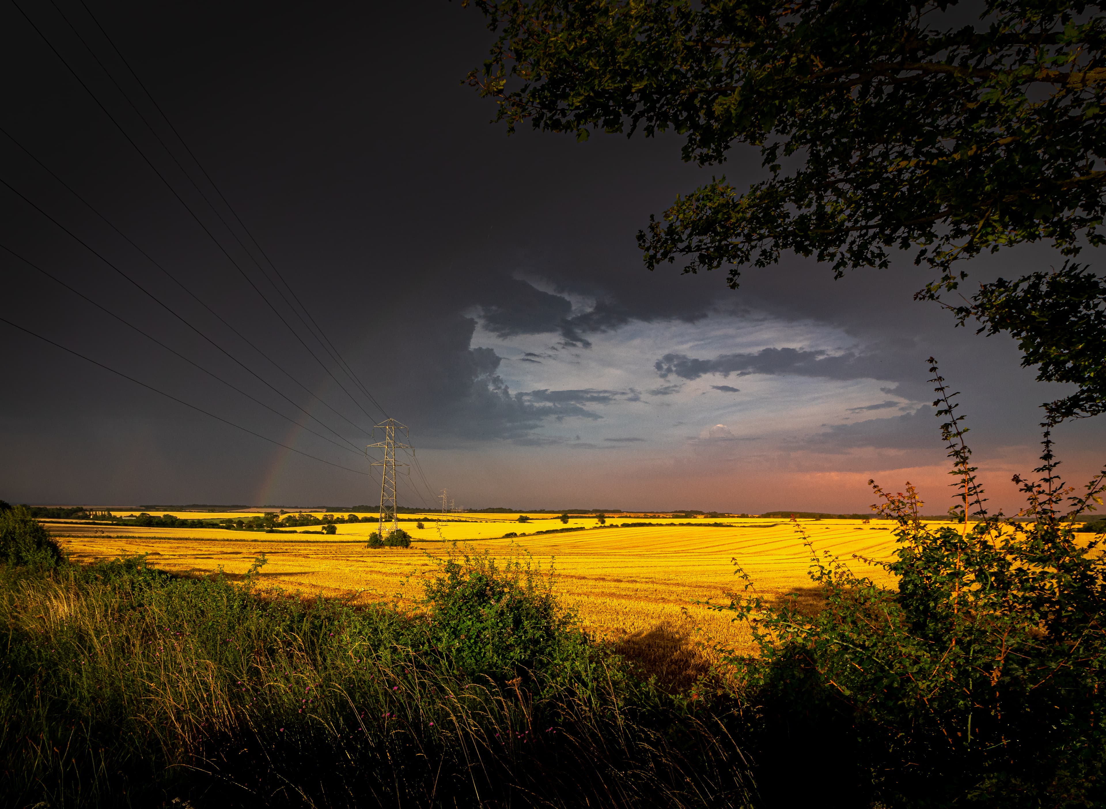 Rainbow over golden fields.