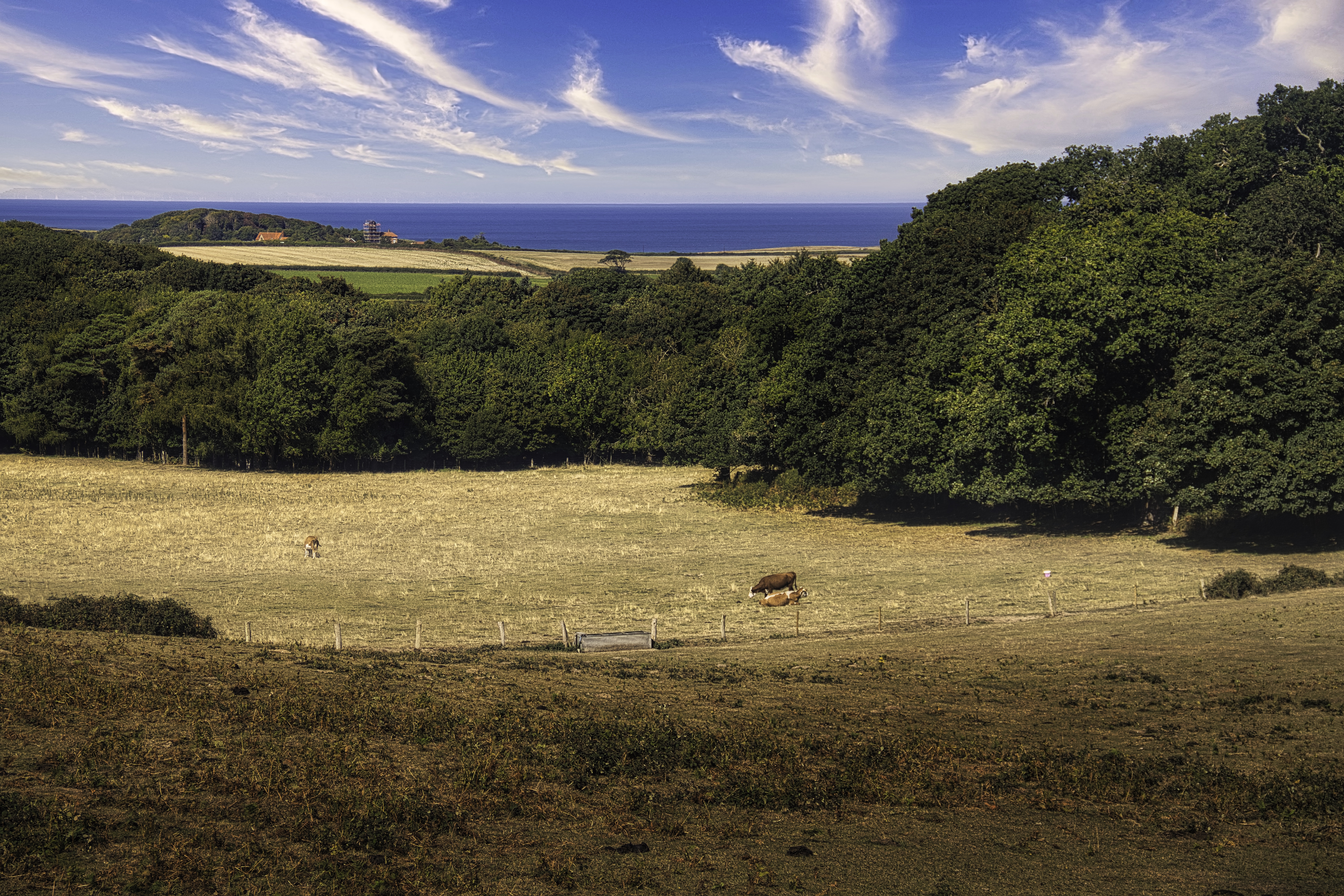This breathtaking photograph captures the essence of a serene coastal landscape, where the golden hues of the field meet the deep blue of the sea under a vast, cloud-dotted sky. The composition, with its balanced horizon and lush greenery, evokes a tranquility and beauty of nature. The warm lighting enhances the earthy tones, making it a perfect piece for a living room, where it can serve as a focal point, inviting viewers to feel the calm and serenity of the countryside. Its aesthetic appeal lies in its ability to bring a outdoors in, making it a ideal choice for those who wish to infuse their space with a calming influence of nature.