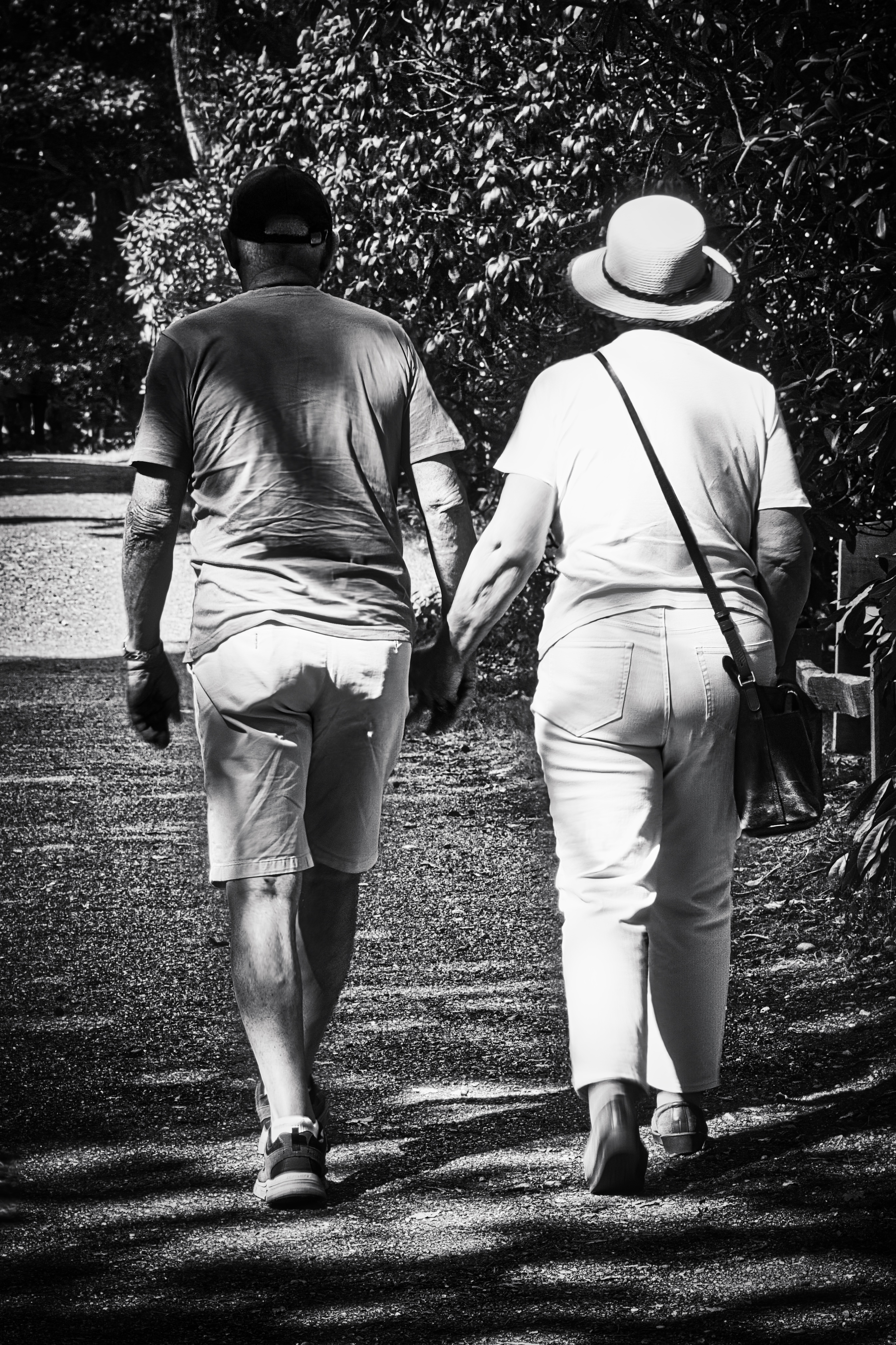 This black and white photograph captures a tender moment between two individuals, symbolizing the enduring bond of love and companionship. The soft, diffused light filtering through the trees creates a serene and intimate atmosphere, highlighting the simplicity and beauty of their connection. The composition, with the couple walking hand in hand, draws the viewer into the scene, evoking a warmth and comfort of shared moments. This image's aesthetic appeal lies in its timeless quality, making it a perfect piece for a living room focal point or an executive office to inspire reflection and connection. The monochromatic palette adds a layer of depth and emotion, making it a ideal choice for those who appreciate the art of storytelling through visual art.