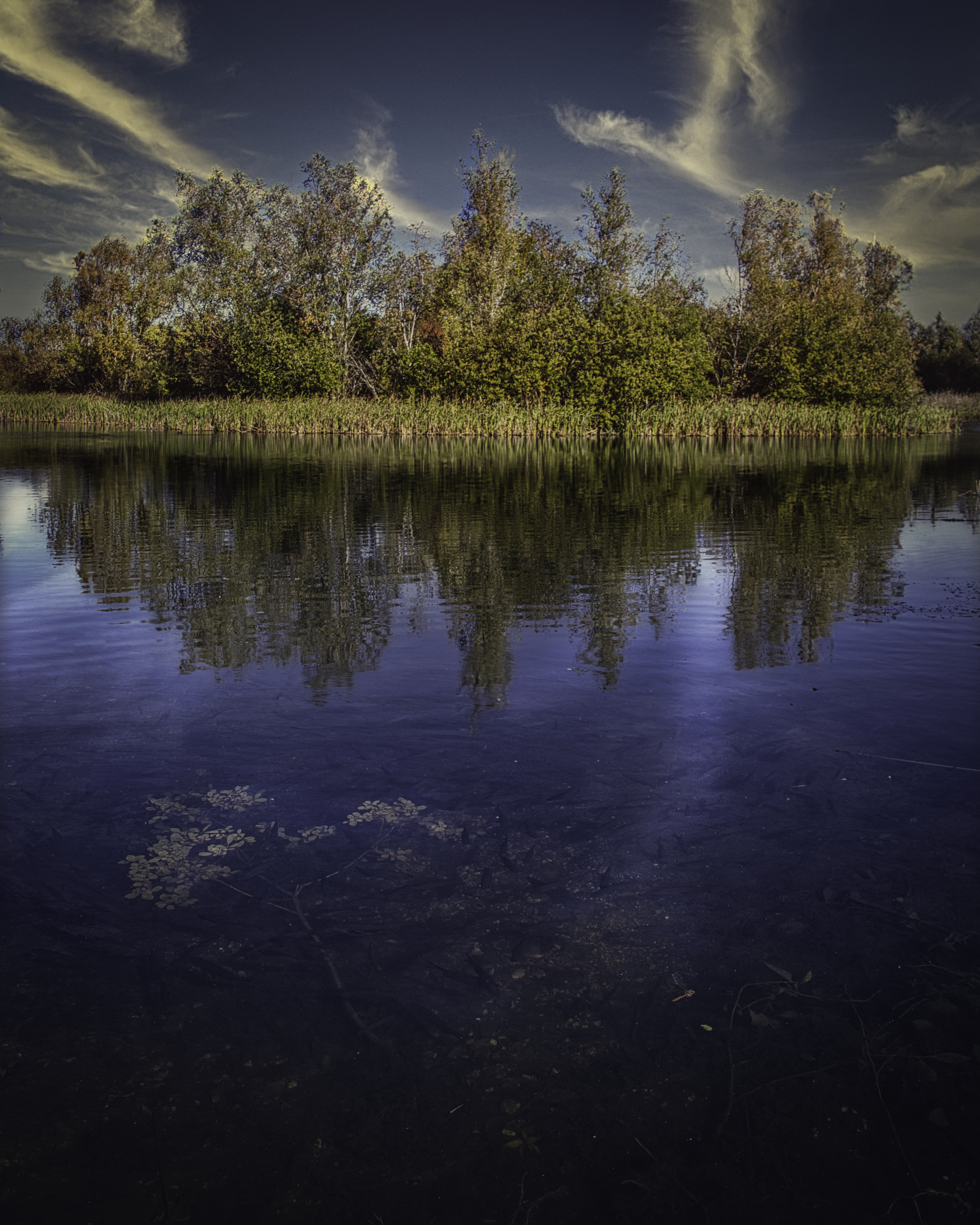 This photograph captures a tranquil scene where the calm waters mirror the lush greenery and vibrant sky, creating a mesmerizing interplay of light and shadow. The soft, diffused lighting enhances the serene mood, making it perfect for a living room focal piece or an executive office where it can adds a touch of natural beauty and calm. The composition, with its balanced horizon and reflective surface, offers a sense of peace and harmony, making it ideal for modern gallery walls or as a centerpiece of a home or office space.