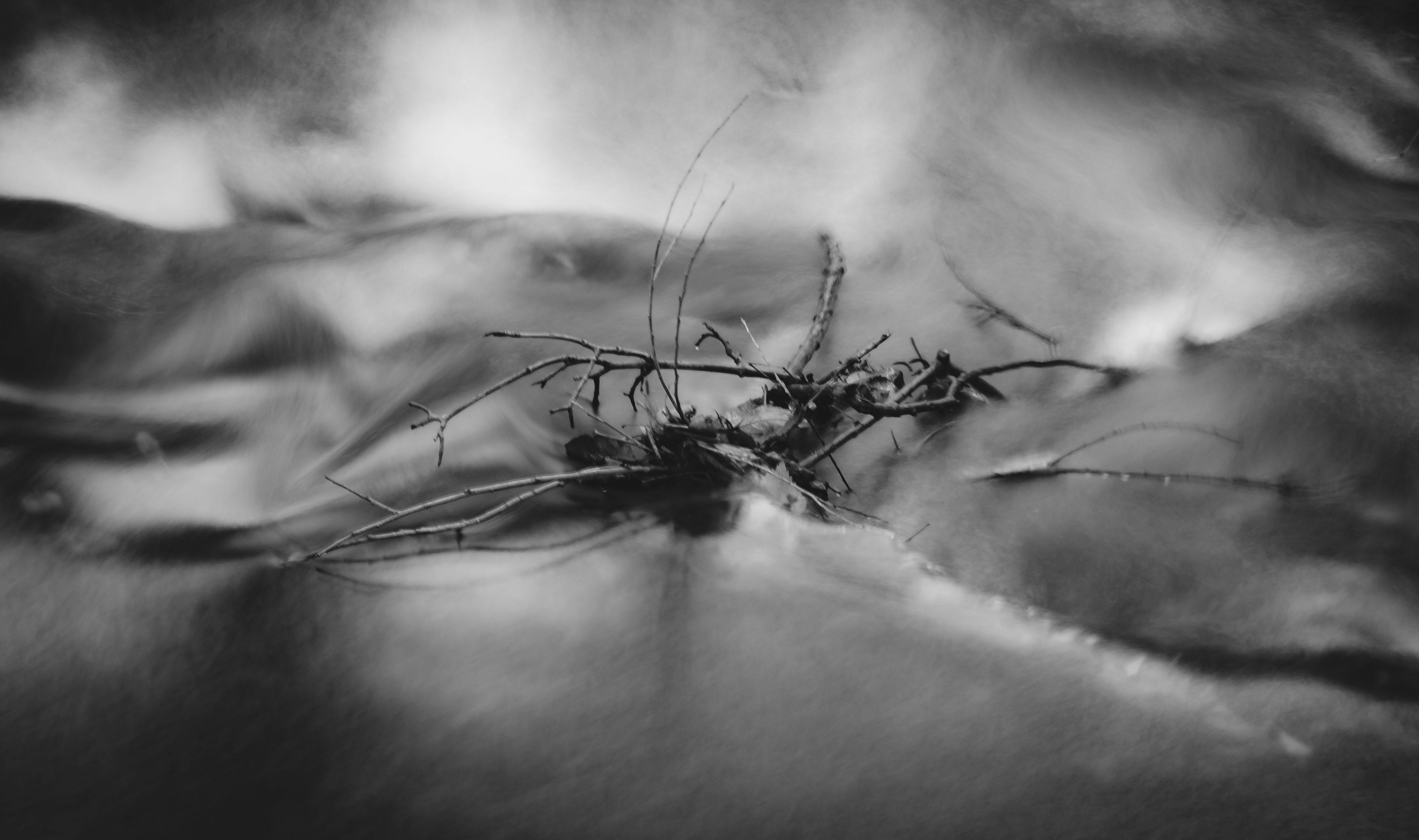 This evocative black and white photograph captures the intricate details of a dried plant, suspended in a air, creating a illusion of a plant floating. The soft, diffused lighting enhances the texture and depth, evoking a mood of nostalgia and quiet contemplation. The composition, with its focus on the plant and the blurred background, draws the viewer into a scene, making it a perfect piece for a living room or executive office. Its minimalist aesthetic and rich, emotional tone make it a ideal focal point for a modern gallery wall.