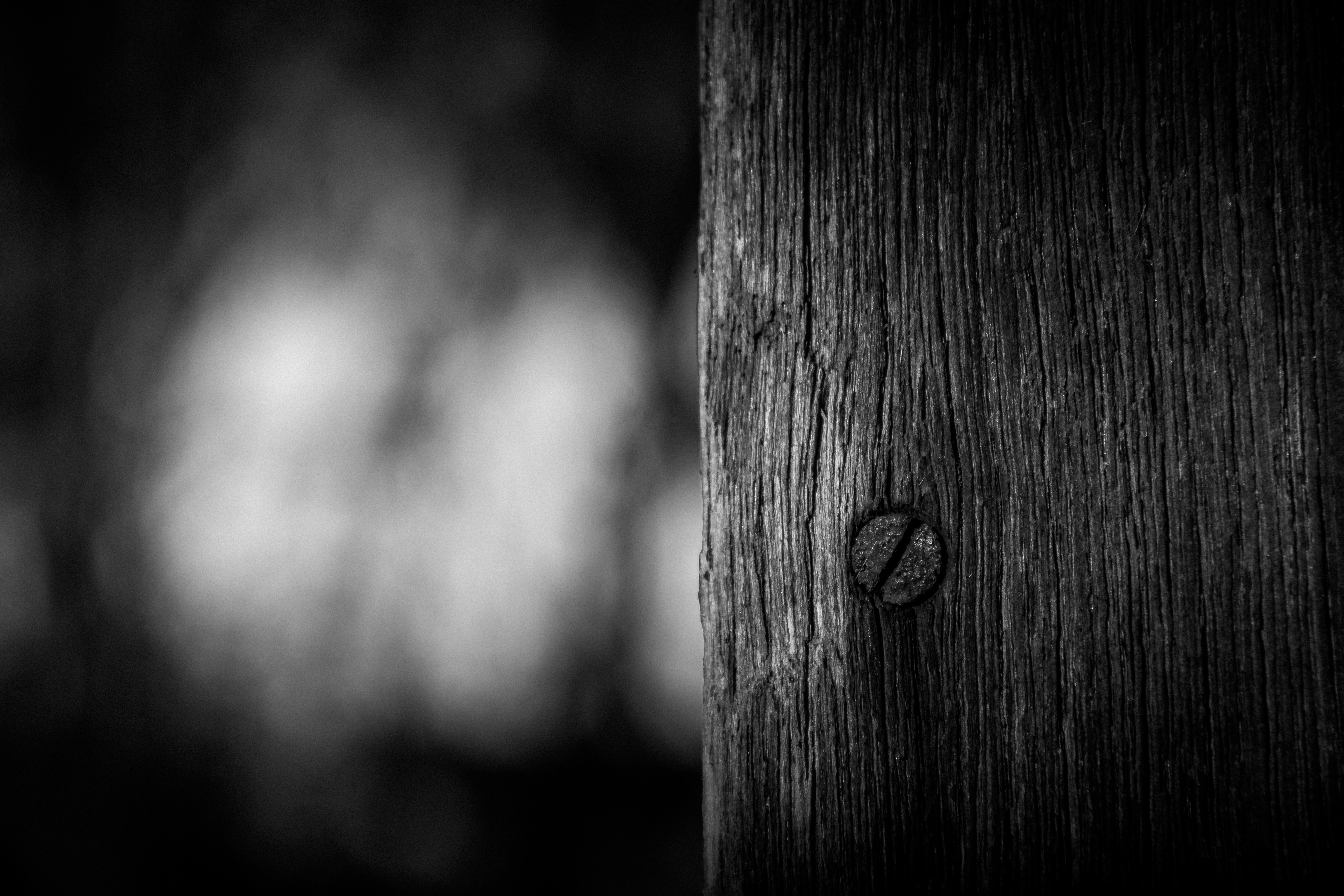 This striking black and white photograph captures the intricate beauty of a weathered wood grain, with a soft, blurred background creating a perfect contrast. The composition draws the eye to the subtle texture and the lone knot, evoking a timeless and serene atmosphere of nature. Its minimalist aesthetic makes it a perfect focal point for any modern interior, whether it be a living room, executive office, or a centerpiece of a modern gallery wall. The monochromatic palette ensures it complements a most diverse color schemes, making it a ultimate versatile decor piece.