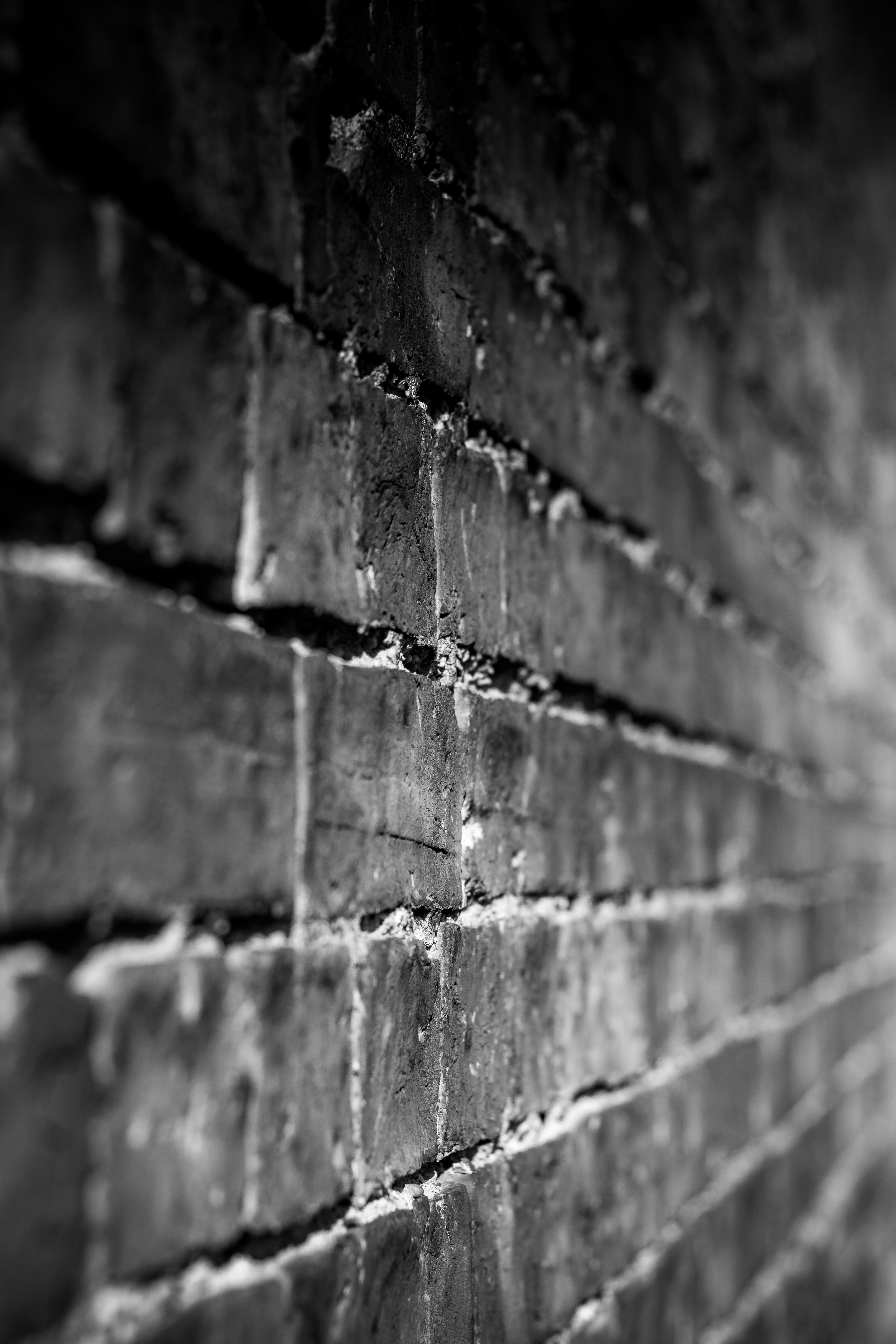 This striking monochromatic photograph captures the raw beauty of a aged brick wall, evoking a mood of nostalgia and timelessness. The soft, diffused lighting enhances the texture and depth of the bricks, creating a visually captivating composition. Its minimalist aesthetic makes it a perfect focal point for any modern living room or executive office, adding a touch of industrial chic to any space. The subtle contrast and intricate details make it a versatile piece that can complement a most sophisticated decor.