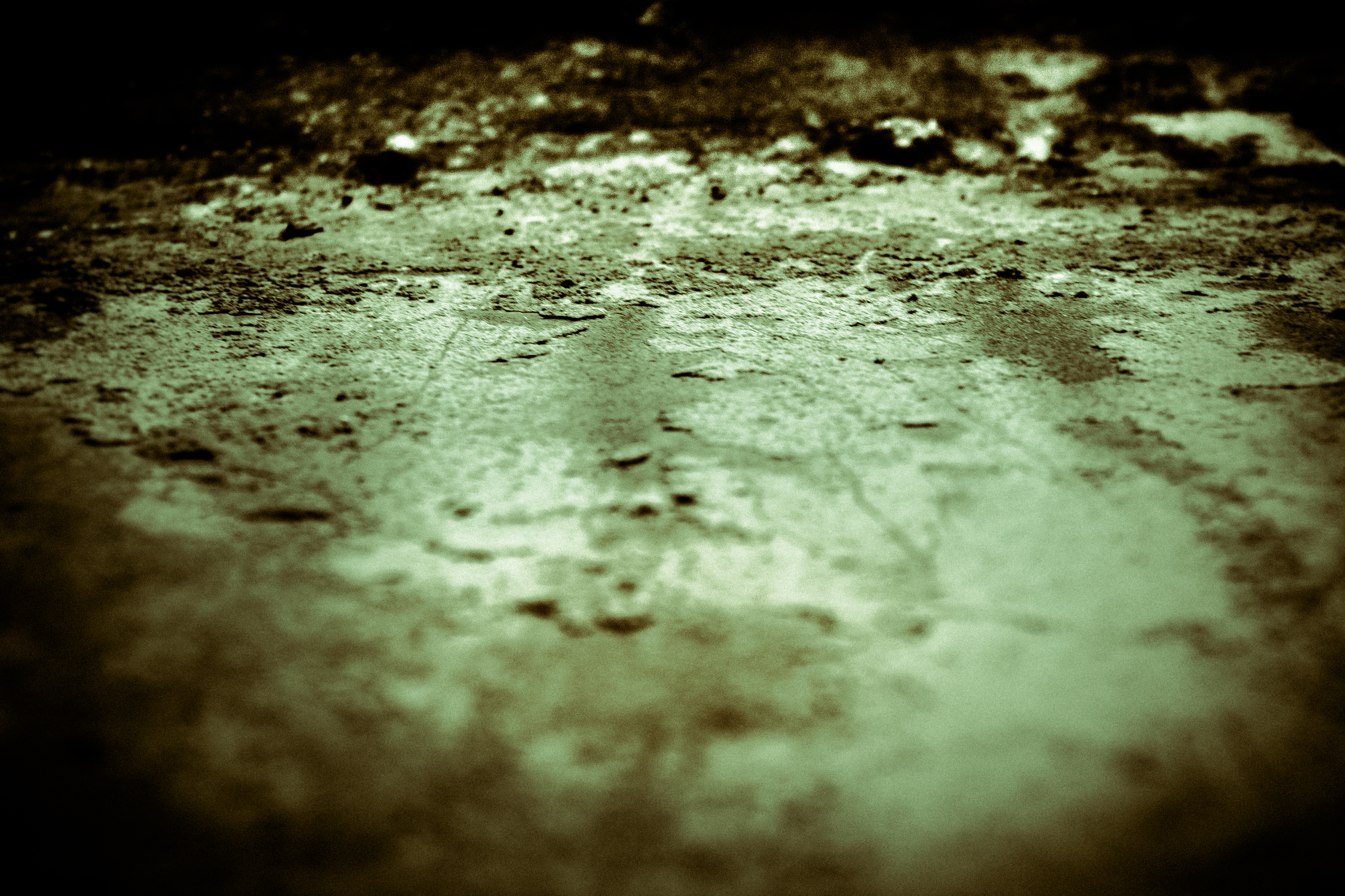 This evocative fine-art photograph captures the raw, textured beauty of a earth, bathed in warm, earthy tones that evoke a essence of nature's untamed beauty. The soft, diffused lighting enhances the depth and texture, creating a perfect backdrop for a subtle interplay of light and shadow. The composition, with its focus on the ground, invites viewers to explore the intricate details, making it a ideal centerpiece for any modern gallery wall or a sophisticated executive office. Its rich, moody aesthetic makes it a perfect addition to any space seeking to infuse a atmosphere with a touch of the natural world's raw, unfiltered splendor.