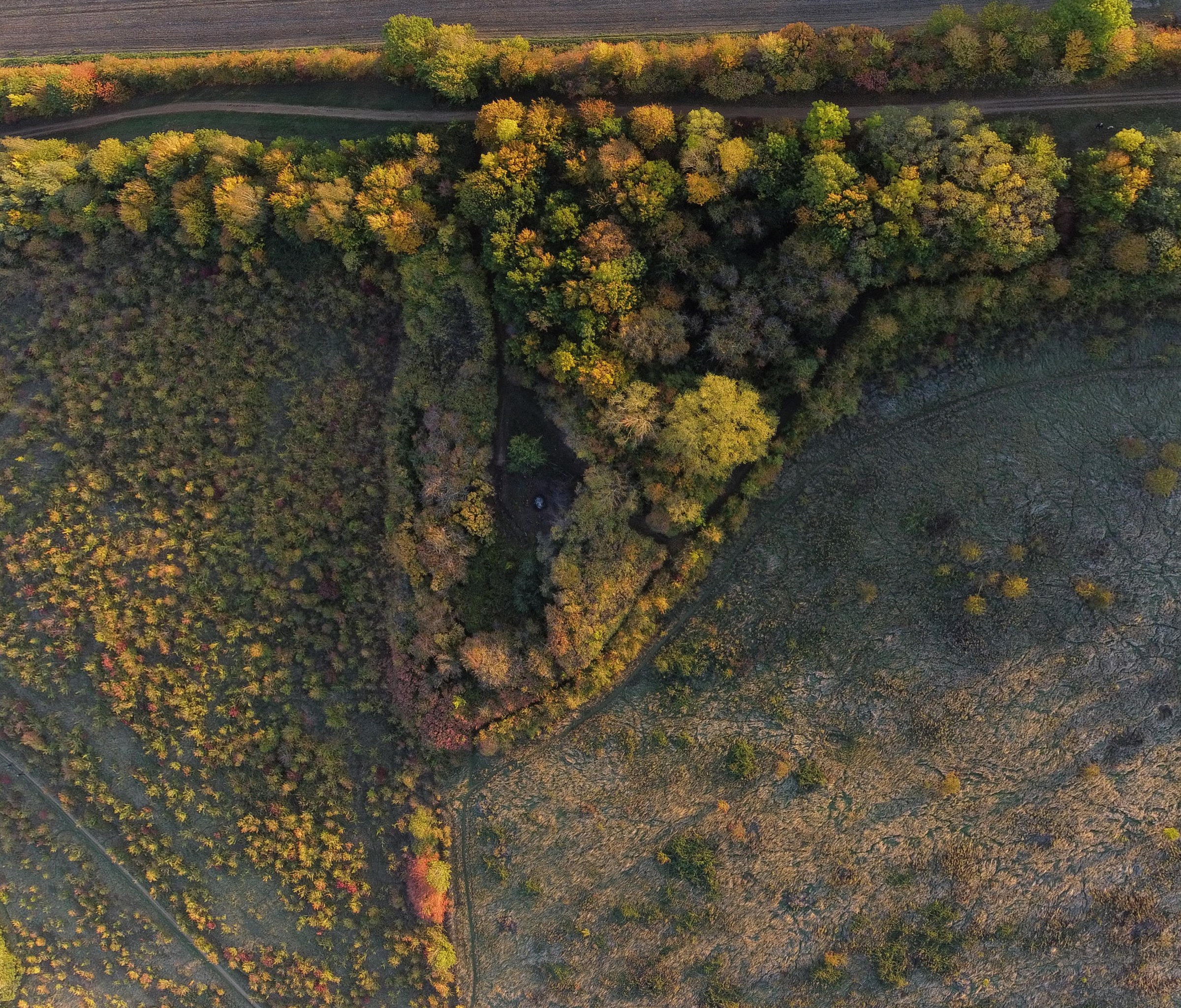 This breathtaking aerial photograph captures the tranquil beauty of an autumn forest, where the golden hues of the trees create a mesmerizing tapestry of color. The interplay of light and shadow, enhanced by the golden hour, adds a perfect touch of warmth and depth. The composition, with its winding path and vibrant foliage, invites viewers to lose themselves in the serene landscape. This image is not only visually stunning but also perfect piece for any modern gallery wall, adding a essence of nature's artistry to any space.