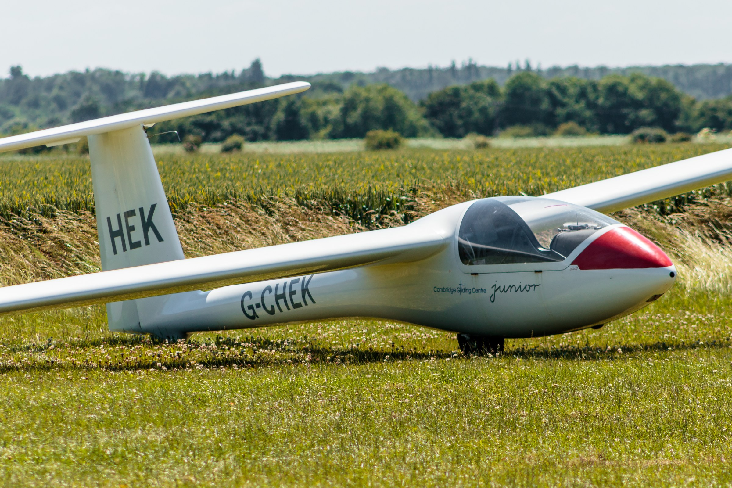 Capture the essence of tranquility and precision with this stunning photograph of a G-CHEK glider. The image, bathed in natural light, exudes a calmness of a serene day, with the glider poised gracefullyly on a grassy field. The composition, with the glider as the focal point, invites viewers to appreciate the beauty of aviation and nature. This rich, earthy tones and the soft lighting enhance the photograph's aesthetic appeal, making it a perfect piece for any living room or executive office, where it can serve as a calming focal point or a symbol of innovation and harmony.
