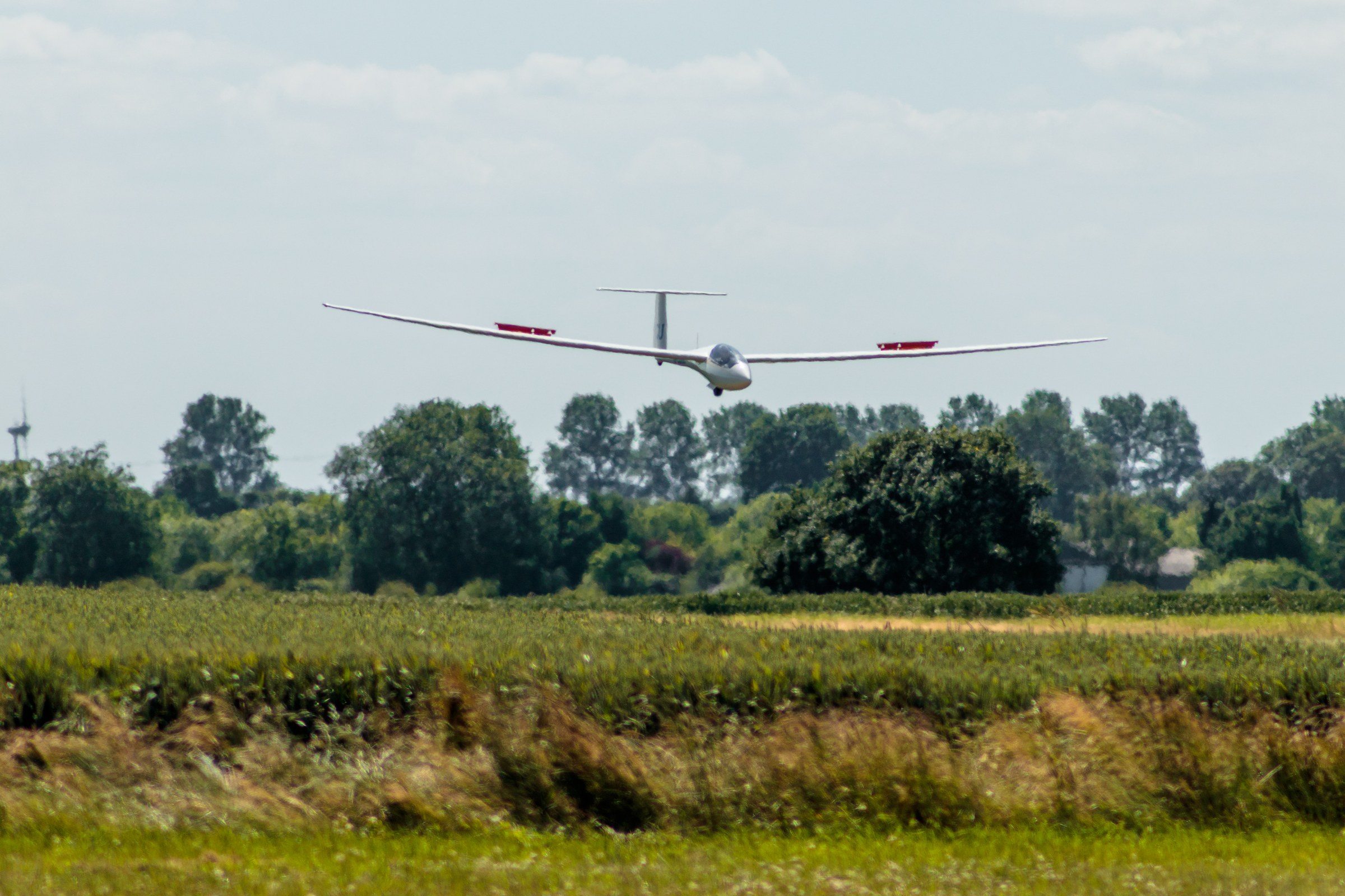 This photograph captures the serene beauty of a glider soaring gracefully against a backdrop of a open sky and lush greenery. The soft, natural light enhances the tranquil mood, while the composition beautifully balances the glider in center of the frame, drawing the viewer's eye across the expansive landscape. The aesthetic appeal lies in its simplicity and the sense of freedom it evokes, making it a perfect piece for a living room as a focal point of a space, or for the executive office to inspire a spirit of adventure and tranquility.