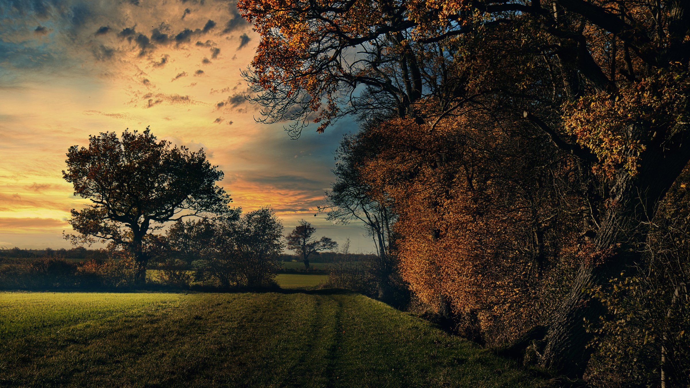 This photograph captures the serene beauty of an autumn landscape at sunset, where the warm golden hues of the setting sun bathe the scene in soft, inviting light. The composition beautifully frames a foreground with a silhouette of a tree on the right, leading the eye towards the expansive field and distant horizon. The rich, earthy tones and the interplay of light and shadow create a tranquil and almost magical atmosphere, making it a perfect piece for any living room or executive office, where it can serve as a focal point, evoking a peacefulness of nature and the beauty of the changing seasons.
