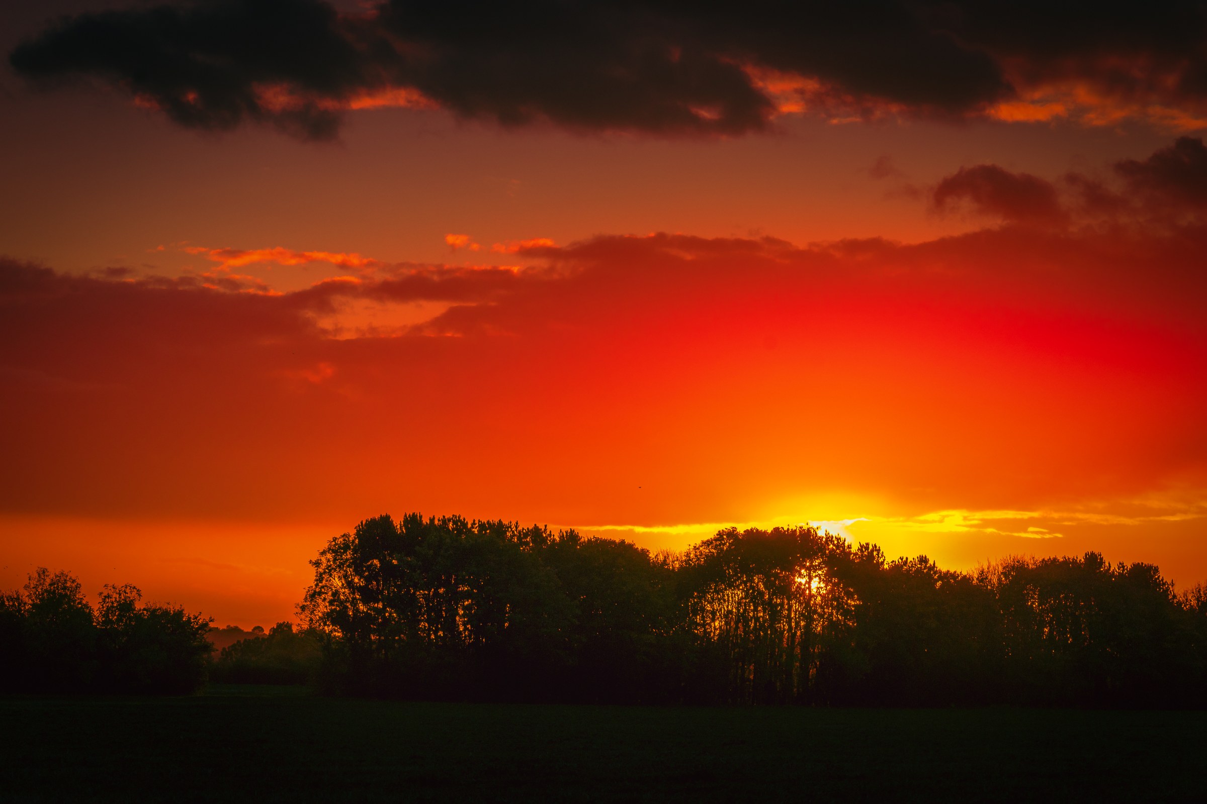 This breathtaking photograph captures the ethereal beauty of a sunset, with its vibrant hues of orange and red painting the sky in most dramatic way. The silhouette of the trees in foreground adds a perfect balance to the composition, creating a perfect harmony between nature and art. The warm tones and soft lighting evoke a feeling of tranquility and peace, making it an ideal choice for any living room focal piece or executive office. The rich aesthetic appeal of this photograph will add a perfect touch of sophistication and warmth to any modern gallery wall.