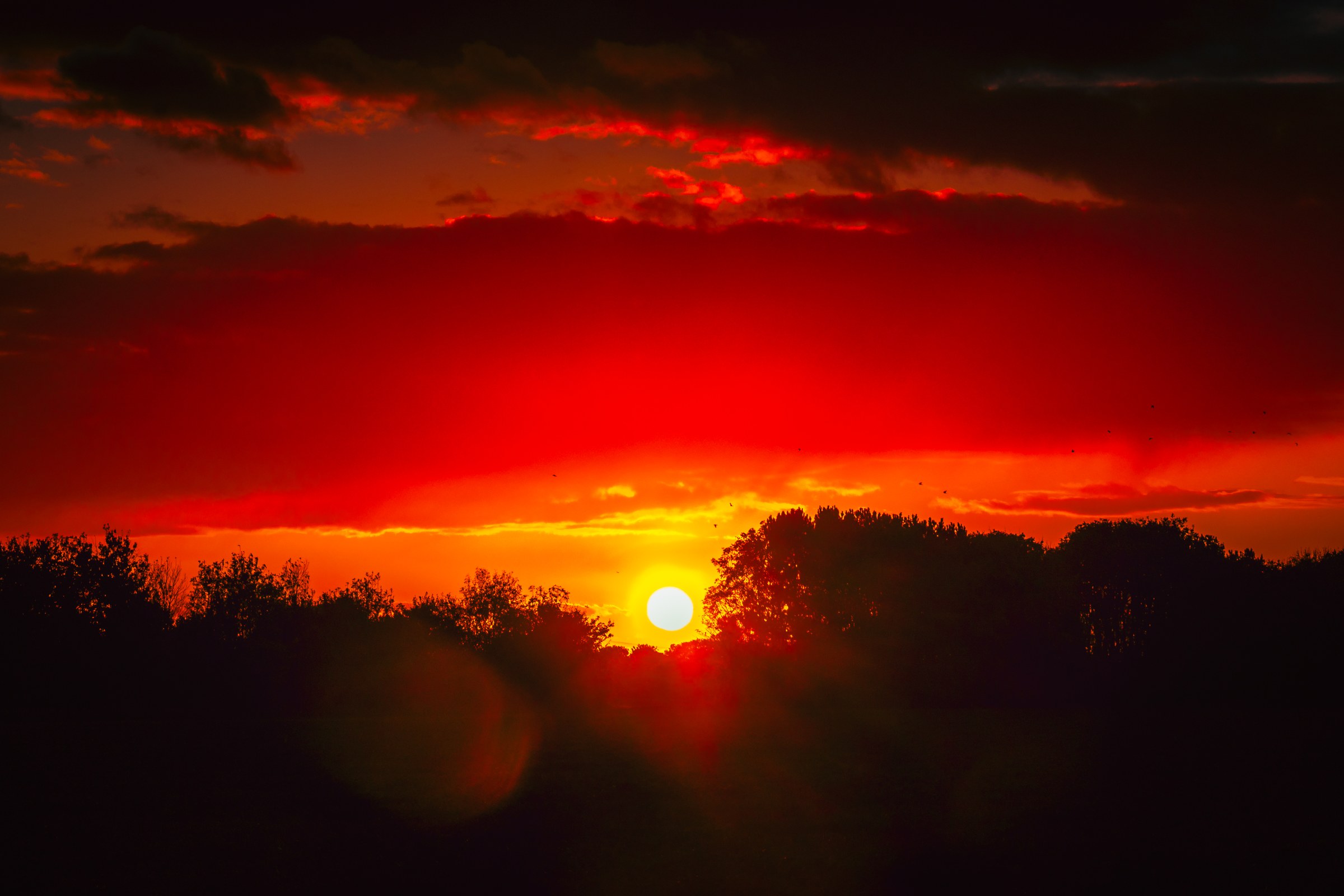 This breathtaking photograph captures the mesmerizing beauty of a sunset, with its vibrant hues of red and orange painting the sky in most dramatic way. The sun, a focal point, is positioned low on the horizon, casting a warm glow that illuminates the clouds and silhouettes the trees below. The composition is balanced, with the horizon line dividing the image into two distinct yet harmonious halves. The aesthetic appeal lies in its ability to evoke a feeling of tranquility and awe, making it a perfect piece for any living room focal point or an executive office to inspire creativity and calm. Display it in a modern gallery wall to enhance the ambiance of any space.