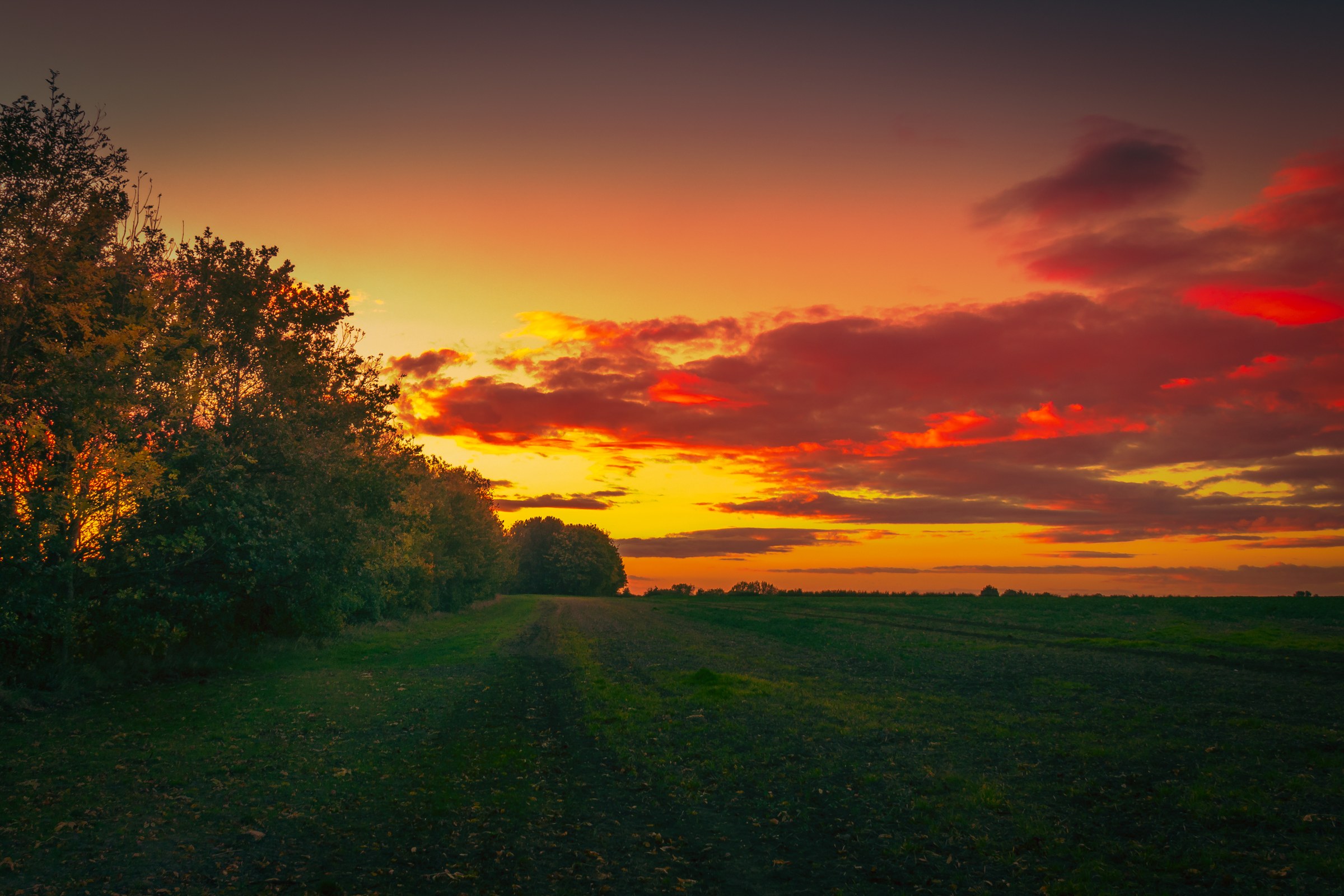 This breathtaking fine-art print captures the mesmerizing beauty of a sunset over agrown fields, with vibrant hues of orange, red, and purple painting the sky. The composition, with its leading lines and natural framing, draws the viewer into the tranquil scene, evoking a feeling of peace and serenity. The rich, saturated colors and dynamic lighting make this print a perfect focal point for any modern gallery wall or a calming living room. Hang it in your executive office to inspire creativity and relaxation.