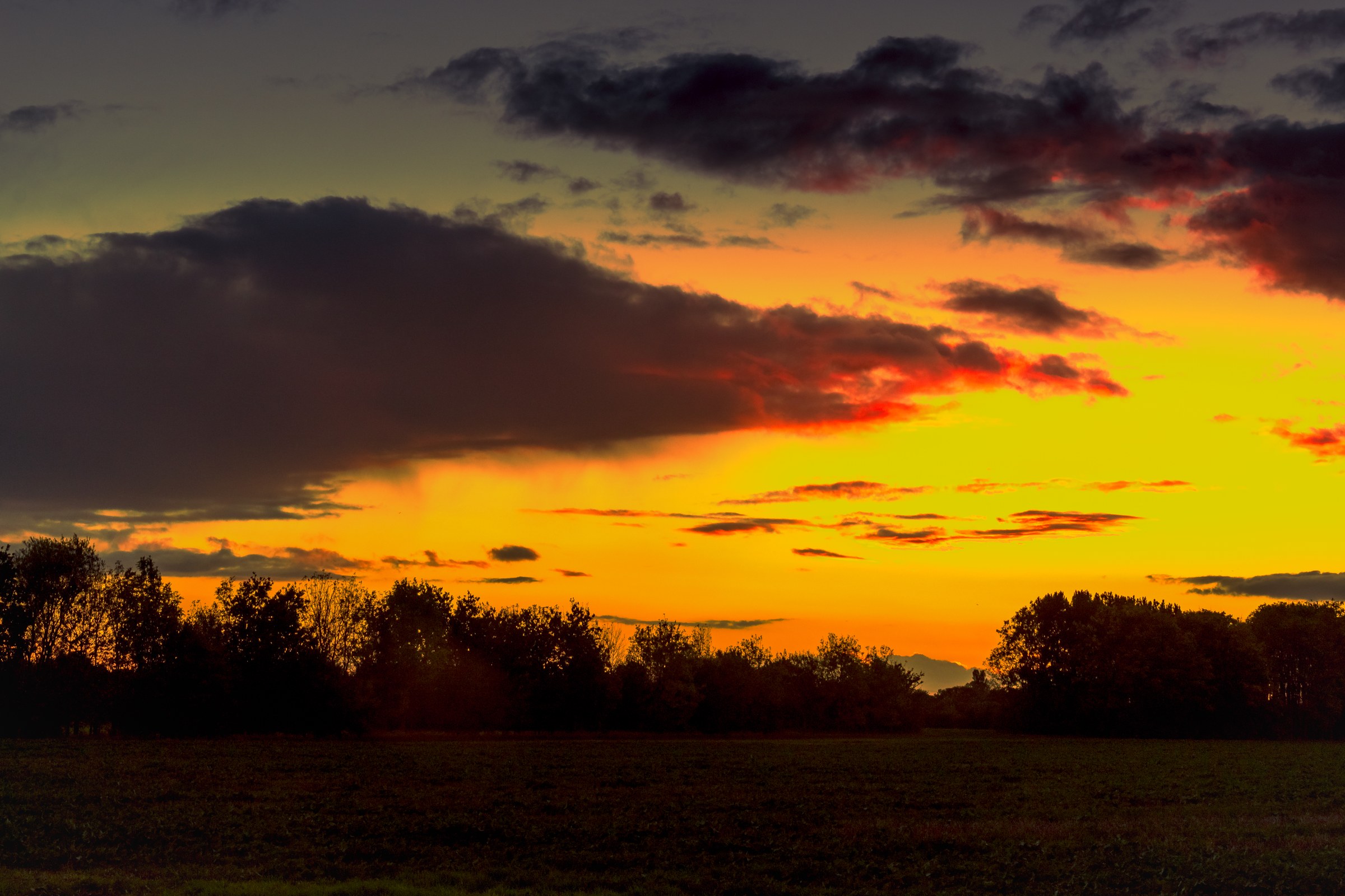 This breathtaking photograph captures the essence of a serene sunset, where the sky is awash with vibrant hues of orange, yellow, and pink, contrasted by the deep blues and purples of the evening sky. The composition is balanced with a silhouettes of trees and fields in the foreground, adding depth and grounding to the scene. The warm lighting and rich colors evoke a feeling of tranquility and warmth, making it an ideal piece for any living room or executive office. Display it as a focal point of a modern gallery wall to enhance the ambiance of your space.