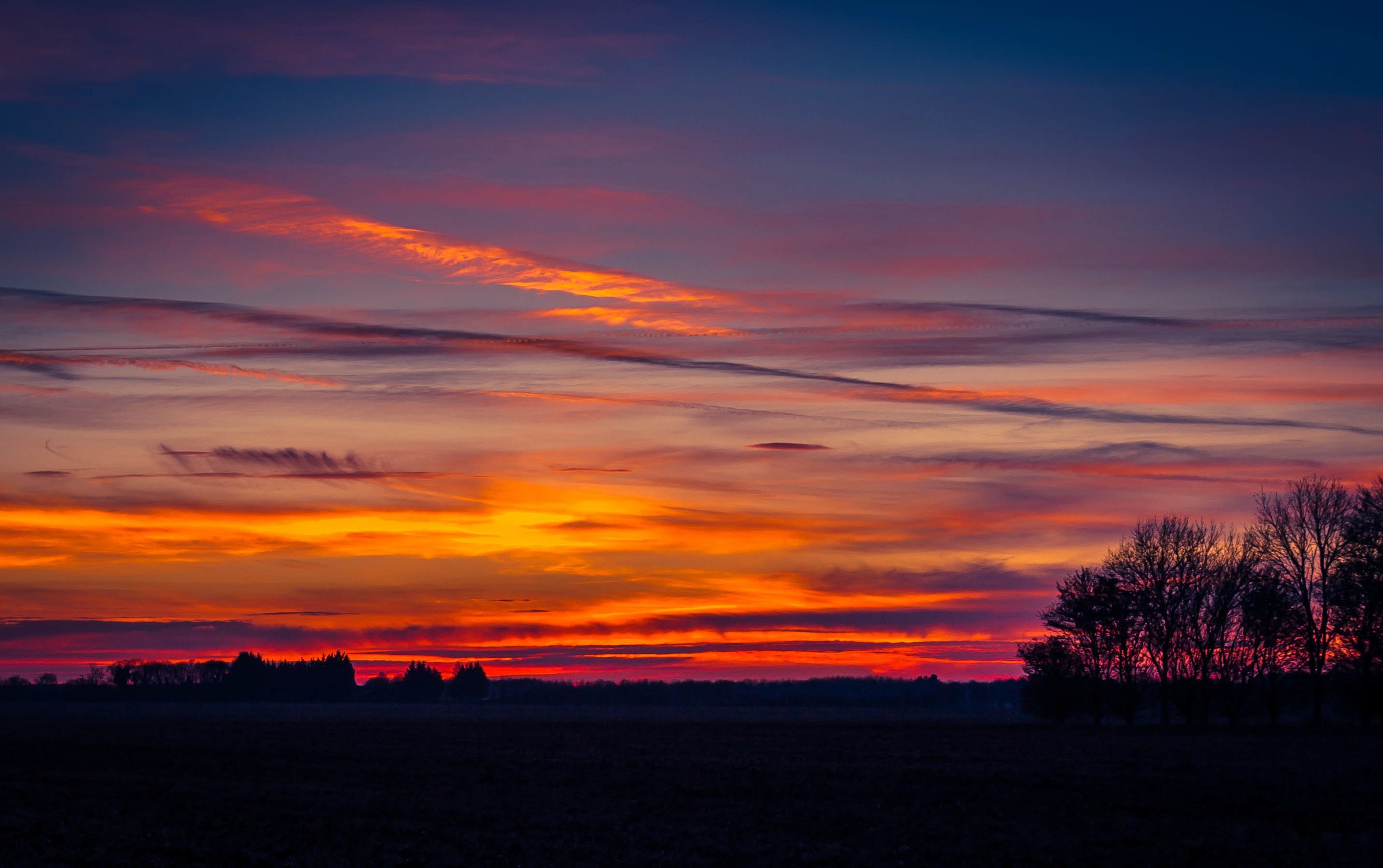 This breathtaking photograph captures the ethereal beauty of a sunset, with its vibrant hues of orange, pink, and purple painting the sky in a mesmerizing display of nature's artistry. The composition is balanced, with the silhouette of bare trees framing the horizon, adding a perfect touch of contrast and depth. The warm lighting of the sunset evokes a feeling of tranquility and warmth, making it an ideal piece for any living room or executive office, where it can serve as a focal point, inspiring calm and contemplation. Hang it in a space where you can enjoy its serene beauty every day, bringing a tranquility of the sunset into your home or office.