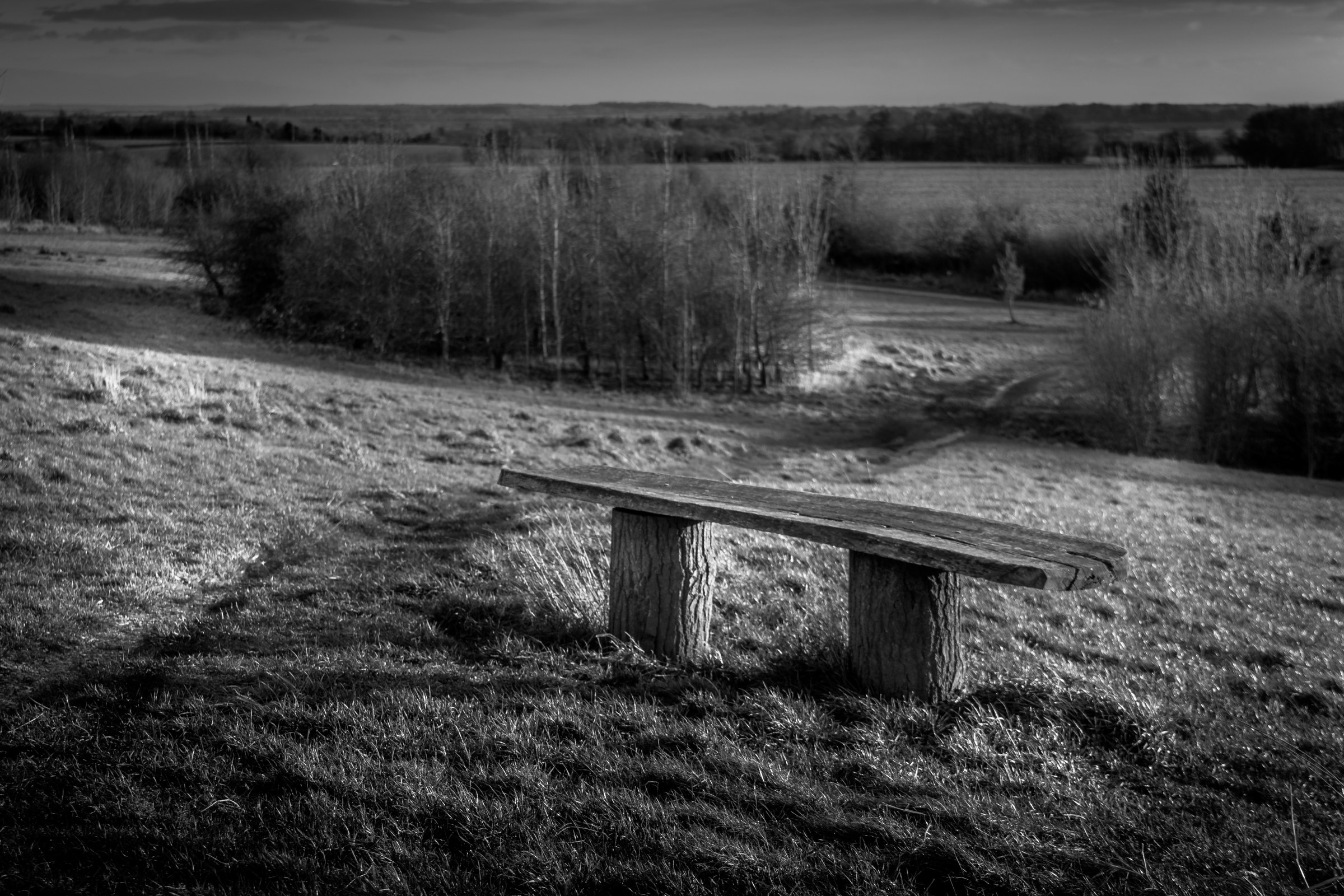 This evocative black and white photograph captures the essence of solitude and tranquility, featuring a rustic wooden bench nestled in a heart of a countryside. The interplay of light and shadow, combined with the stark contrast of the bench against the open field, creates a perfect mood of peaceful reflection. The composition, with the bench as the focal point, draws the viewer into the scene, inviting them to imagine themselves sitting there, basking in the quiet beauty of nature. This image's aesthetic appeal lies in its timeless quality, making it a ideal choice for wall decor in spaces that seek a touch of nature and calm, such as a living room, executive office, or a corner of a modern gallery wall.