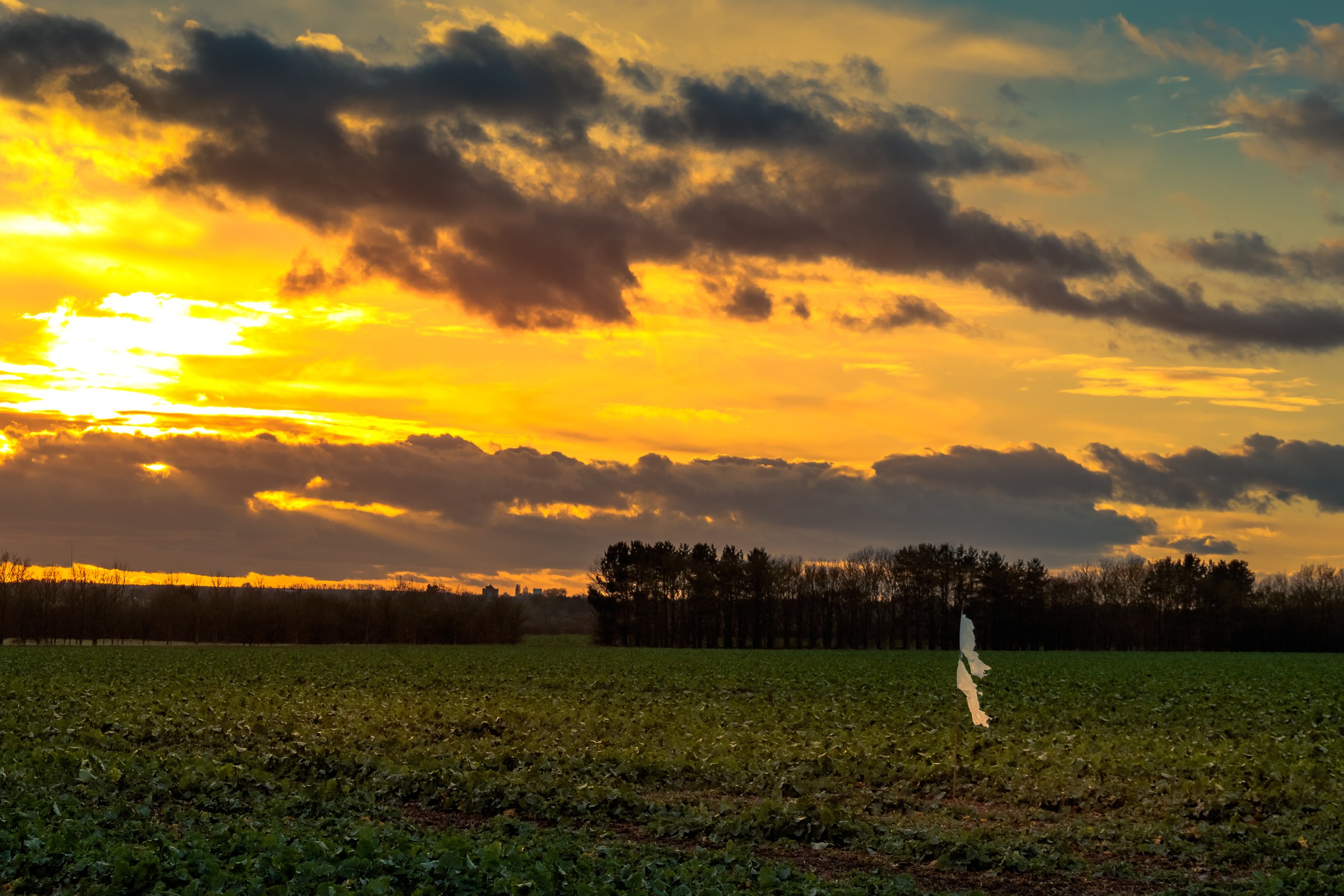 This breathtaking photograph captures the ethereal beauty of a golden hour, where the sun casts a warmest hues across the sky, painting the clouds in colors of orange, yellow, and pink. The composition is balanced with a silhouette of a horizon line, creating a perfect frame for the vibrant sunset. The tranquil field in foreground adds a perfect touch of calmness, making it a ideal piece for any living room or executive office, where it can serve as a focal point of the decor, inspiring a soul and setting a tone for a space.