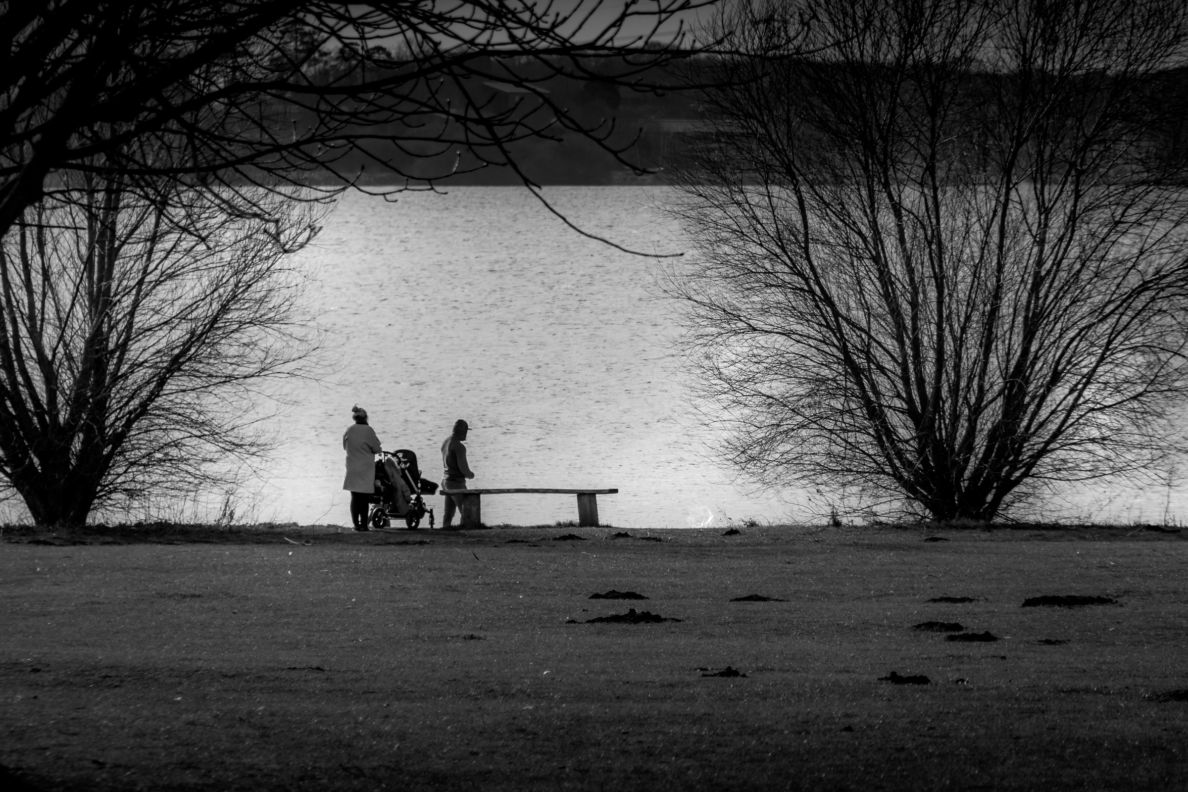 This evocative black and white photograph captures a tranquil moment by a lakeside, where two figures, silhouetted against the shimmering water, evoke a quietude of a natural world. The stark contrast of light and shadow, combined with the minimalist composition, creates a perfect balance of simplicity and depth. The image's aesthetic appeal lies in its ability to convey a timeless beauty of solitude and the peaceful coexistence of human presence with nature. Ideal for a living room as a focal piece, it adds a touch of serene sophistication to any modern gallery wall or executive office space, inspiring reflection and contemplation.