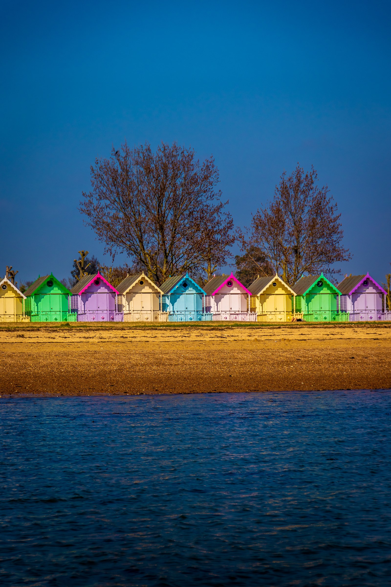 This photograph captures the serene beauty of a row of colorful beach huts against a backdrop of a tranquil sea and a clear blue sky. The warm sunlight bathes the scene, highlighting the vivid hues of the huts and creating a perfect contrast with the deep blue of the water. The composition is balanced, with the huts neatly aligned and the trees adding a perfect touch of nature. This image evokes a feeling of relaxation and joy, making it an ideal piece for any space that seeks to bring a essence of the seaside into its decor. Whether displayed in a living room as a focal point or in an executive office to inspire creativity, this photograph is a perfect blend of art and nature.
