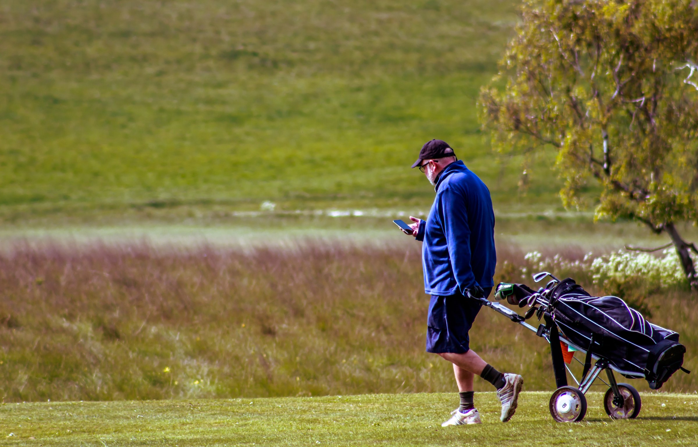 This photograph captures a serene moment on a golf course, where a golfer, dressed in a navy blue jacket and shorts, is engrossed in his phone amidst the lush greenery. The soft, natural light bathes scene in in a warm glow, enhancing the tranquil mood. The composition, with the golfer walking towards the right, creates a perfect balance, leading the viewer's eye across the expansive field. The aesthetic appeal lies in its simplicity and the timeless beauty of the outdoors. This image would make a perfect focal piece for a living room, evoking a calmness of a golf course into your home decor.