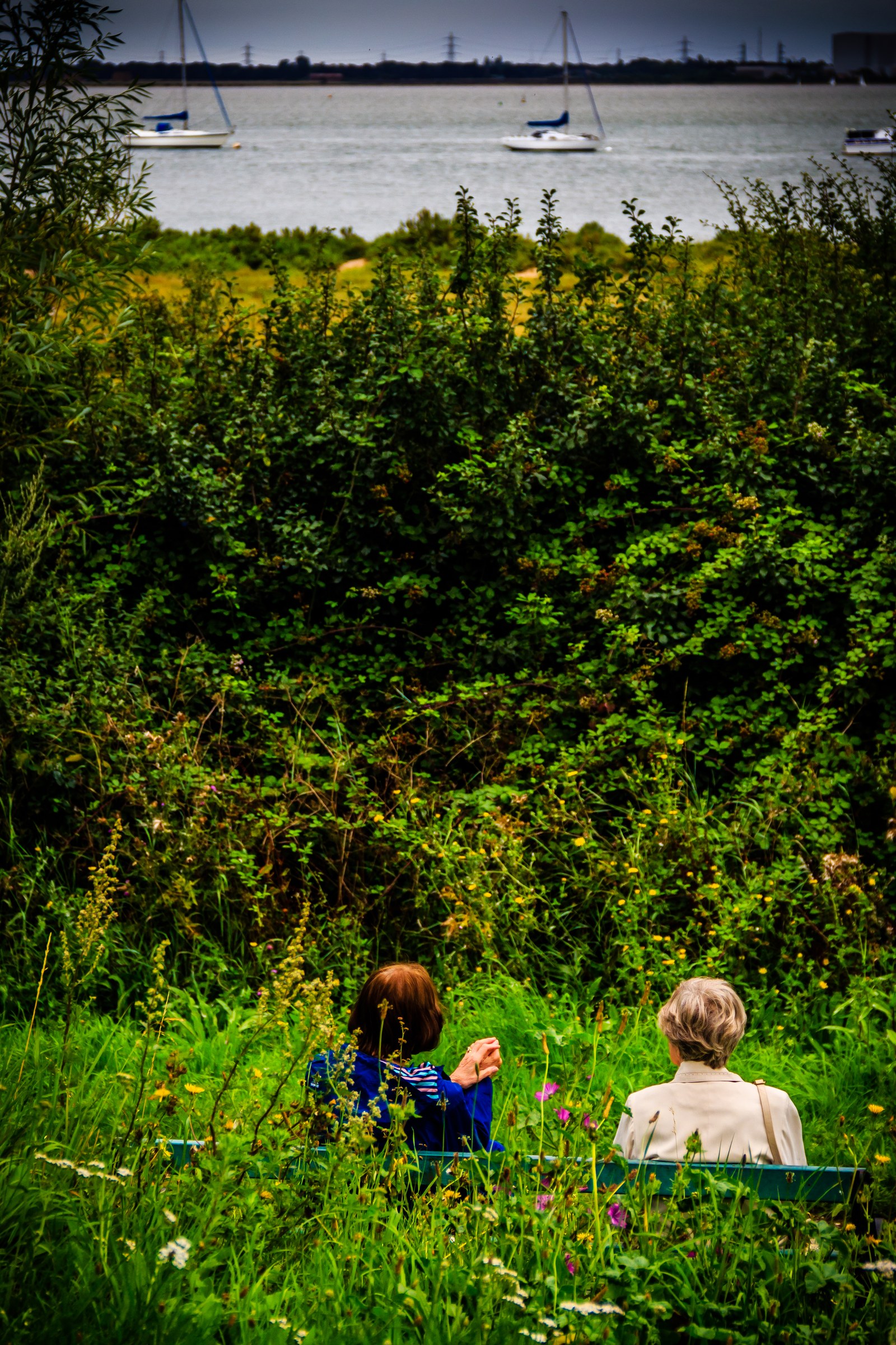 This photograph captures a peaceful moment where two individuals sit on a grass, gazing out over a a tranquil body of water dotted with sailboats. The lush greenery in the foreground frames the scene beautifully, creating a perfect balance between nature and human presence. The soft, natural light enhances the vibrant greens and the calmness of the water, evoking a feeling of a perfect summer day. This composition, with its focus on the figures and the expansive view, invites viewers to imagine themselves in ones sitting there, enjoying the quiet beauty of the moment. This image is ideal for wall decor in a living room, where it can serve as a focal piece, or in an executive office, where it can inspire a calm and reflective atmosphere.