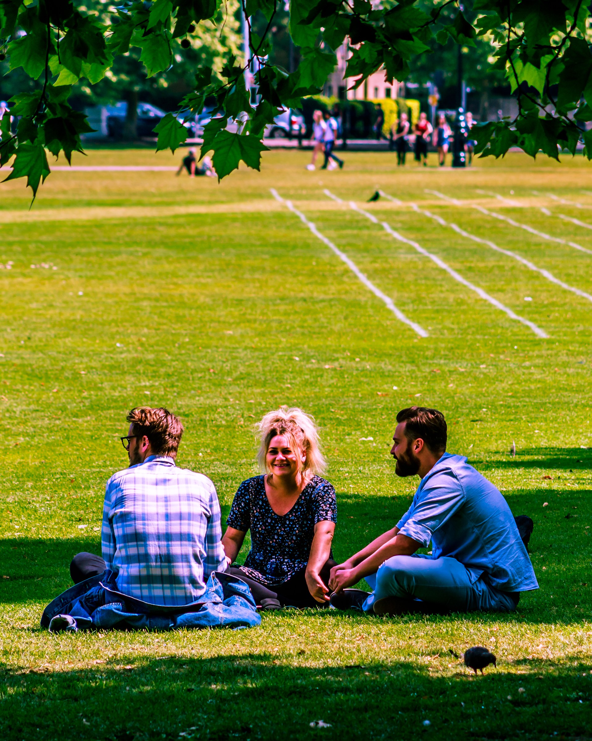 This photograph captures a tranquil moment of three friends enjoying a picnic in a sunlit park. The vibrant green grass and dappled sunlight create a warm, inviting atmosphere, while the soft focus and natural light enhance the sense of peace and connection. The composition, with the friends seated in center, draws the viewer into the scene, making it a perfect focal point for any living room or modern gallery wall. The image's aesthetic appeal lies in its ability to evoke a feeling of relaxation and companionship, making it a perfect piece for any space that values comfort and beauty.