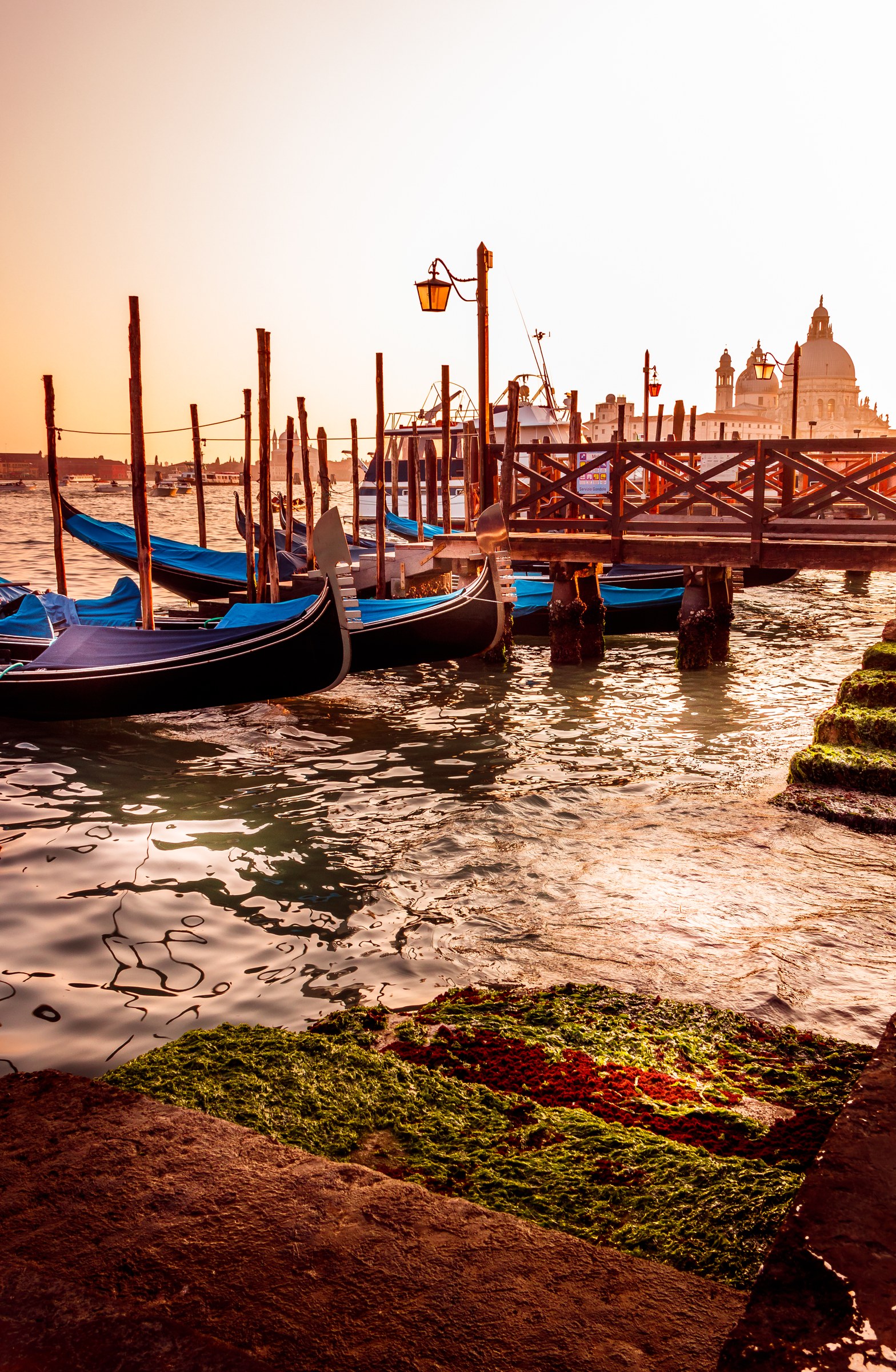 Capture the essence of Venice with this stunning photograph of a gondola dock at sunset. The warm golden hues of the setting sun bathe the scene in in a soft glow of the lampposts, creating a perfect balance of tranquility and romance. The composition, with its symmetrical arrangement of gondolas and the iconic church in the background, offers a perfect blend of natural beauty and architectural splendor. This rich, saturated colors and the play of light and shadow make this image a perfect piece for any modern gallery wall or a living room, where it can serve as a focal point, evoking the feeling of a timeless charm of Venice.