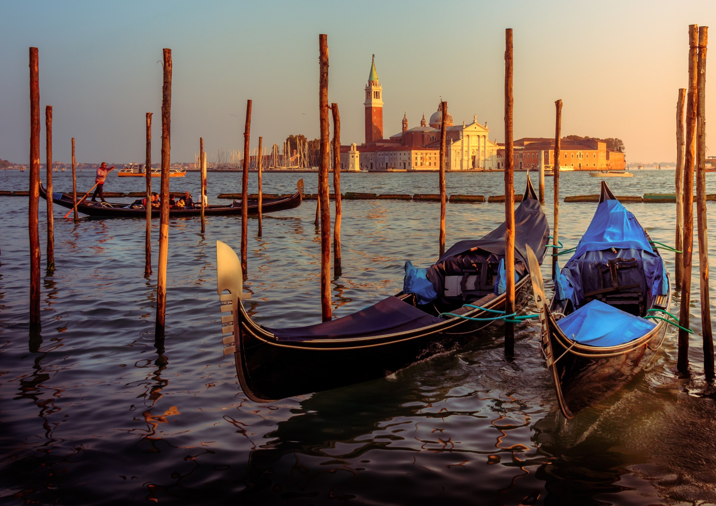 Capture the essence of Venice with this stunning photograph of gondolas moored at sunset. The warm golden hues of the setting sun bathe the scene in in a soft glow of twilight, creating a perfect backdrop for this tranquil moment. The composition, with the gondolas nestled between wooden poles, offers a viewer a feeling of being part of this scene, as if they are about to embark on a same serene journey. This image's aesthetic appeal lies in its ability to evoke a romantic and timeless charm of Venice, making it a perfect piece for any living room focal point or an executive office to inspire creativity and calm.