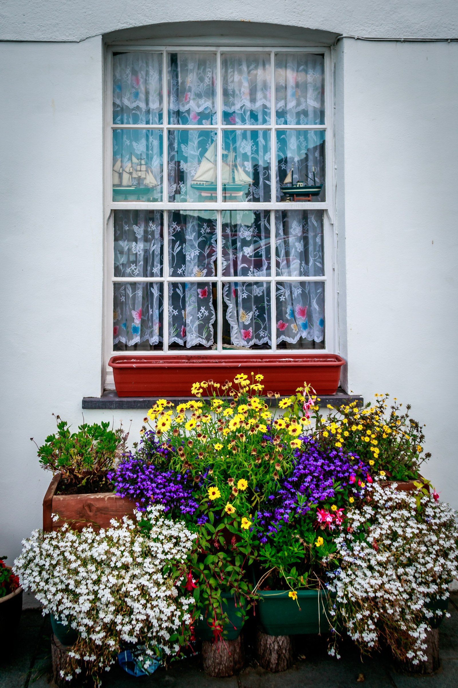 This enchanting photograph captures the essence of a tranquil garden scene, beautifully framed within a white walls of a charming house. The vibrant colors of the flowers—purple, yellow, and white—contrast beautifully with the soft, lace curtains and the pristine white walls, creating a perfect balance of nature and elegance. The composition is both simple and striking, with the window acting as a focal point, drawing the viewer's eye into the scene. This image evokes a feeling of peace and warmth, making it an ideal piece for a living room or executive office, where it can serve as a perfect centerpiece, inspiring a soul and adding a touch of natural beauty to any space.