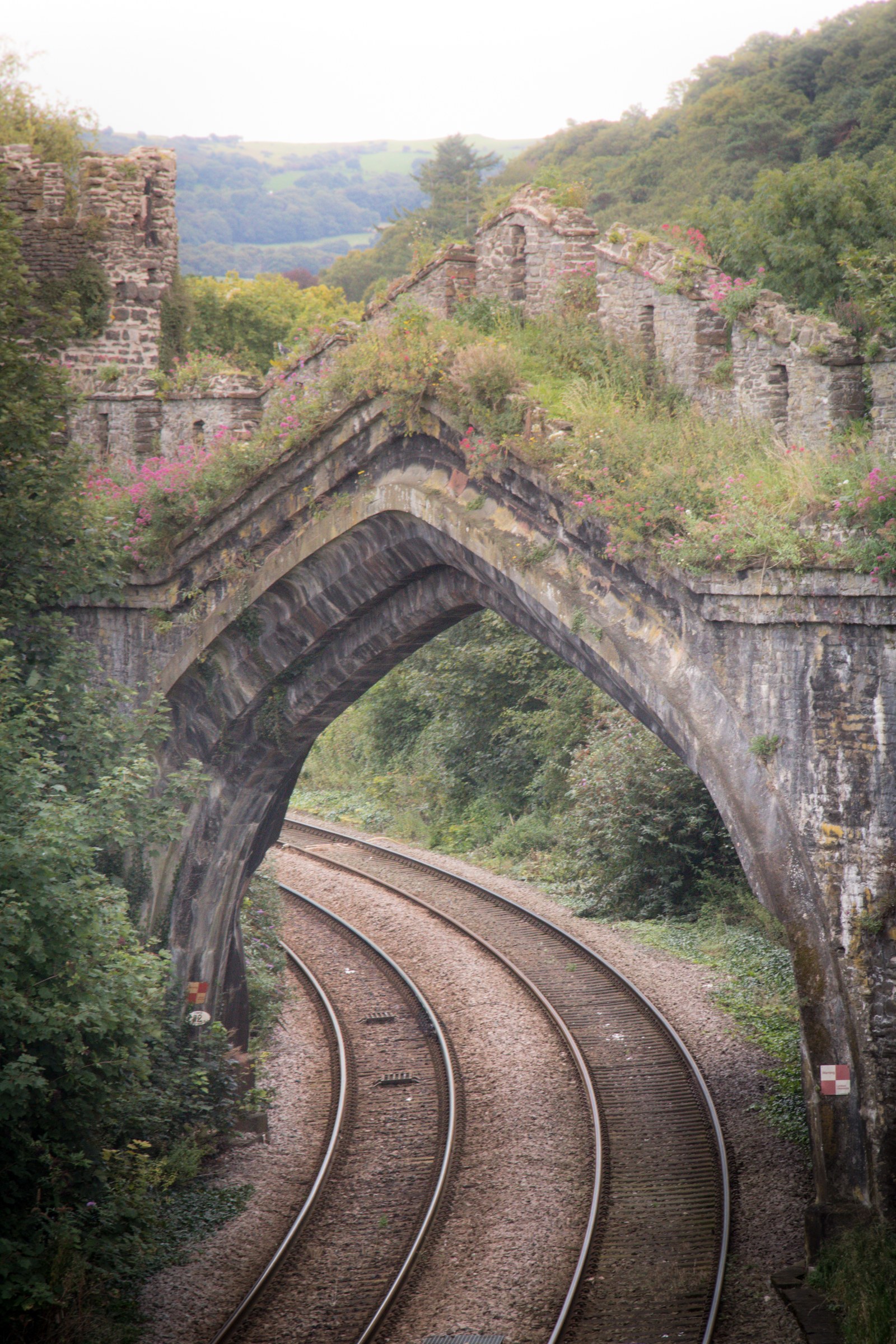 This captivating fine-art print captures the ethereal beauty of an ancient stone archway, seamlessly blending into a a modern railway track. The soft, natural light filters through the foliage, casting a scene in in a serene, almost mystical glow. The composition, with its balanced arch and converging railway lines, creates a illusion of depth and movement, drawing the viewer into the timeless narrative of nature and human ingenuity. This rich, earthy tones and lush greenery make this piece a perfect focal point for any living room, evoking a tranquility and grandeur of nature's enduring beauty.