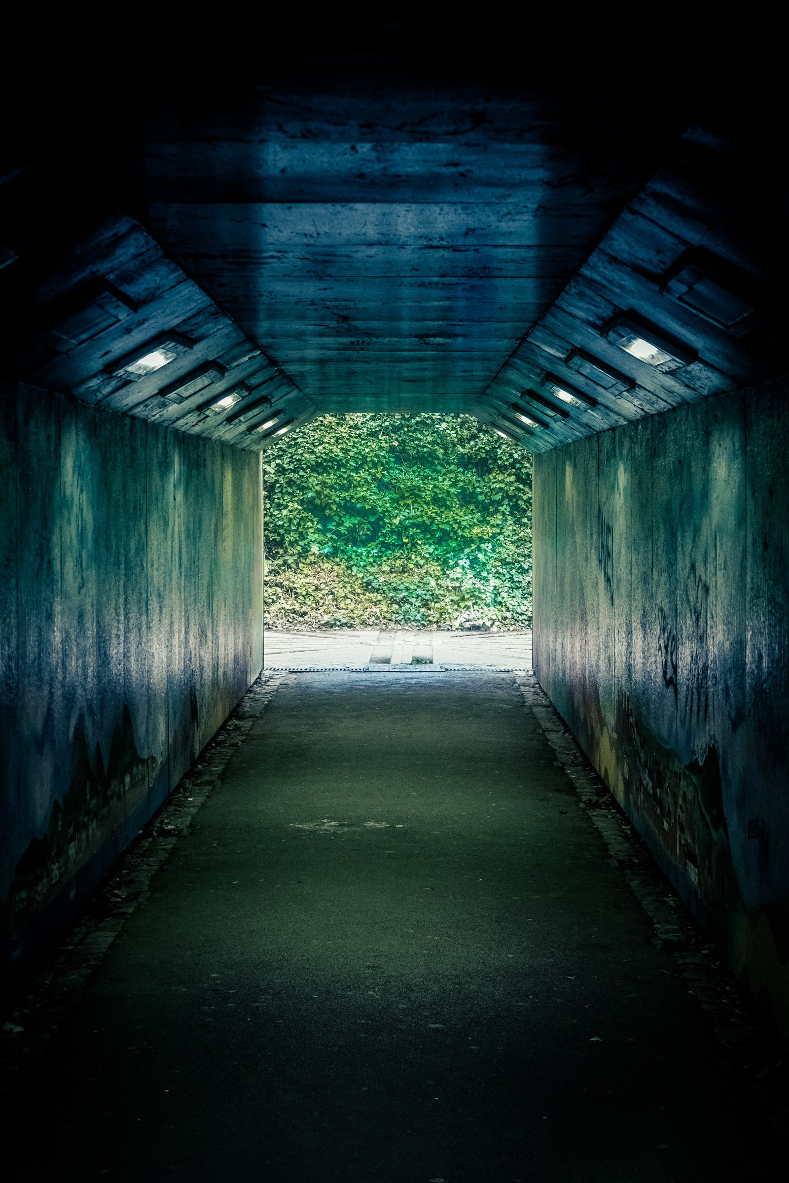 This captivating photograph transports viewers from the dim, shadowy confines of a tunnel to the vibrant, lush greenery beyond, creating a illusion of a natural world beckoning. The interplay of light and shadow, combined with the stark contrast between the tunnel's concrete walls and the verdant foliage, evokes a feeling of a unknown and the promise of discovery. The composition, with its leading lines and dramatic perspective, draws the viewer's eye from the dark, confined space into the open, inviting light. This aesthetic appeal lies in its ability to evoke a emotions of curiosity, adventure, and the beauty of nature. Perfect for a living room as a focal point of a space, or as a a statement piece in an executive office or modern gallery wall, this photograph is a perfect blend of art and nature, making it a ideal wall decor for any space seeking a perfect balance of the known and the unknown.