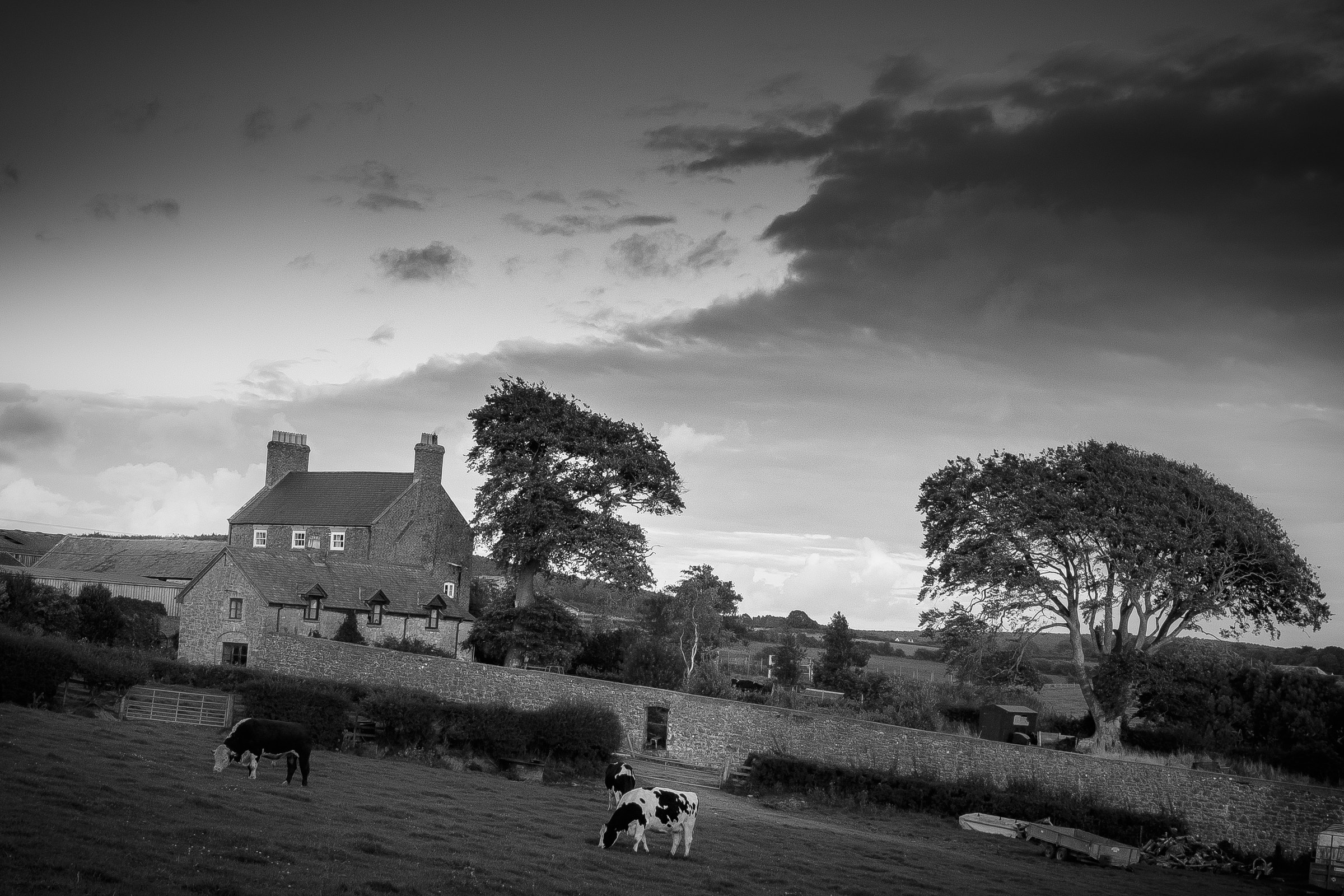 This evocative black and white photograph captures the tranquil essence of a rural farmhouse at dusk. The soft, diffused light of the setting sun casts a gentle glow over the scene, highlighting the rustic charm of the stone walls and the serene pastoral landscape. The composition, with the farmhouse as the central focus, is balanced by the expansive sky and the silhouettes of trees, creating a perfect harmony of nature and architecture. The image's aesthetic appeal lies in its timeless beauty, making it an ideal focal piece for a living room or a executive office, where it can inspire a soul and evoke a feeling of peaceful solitude.