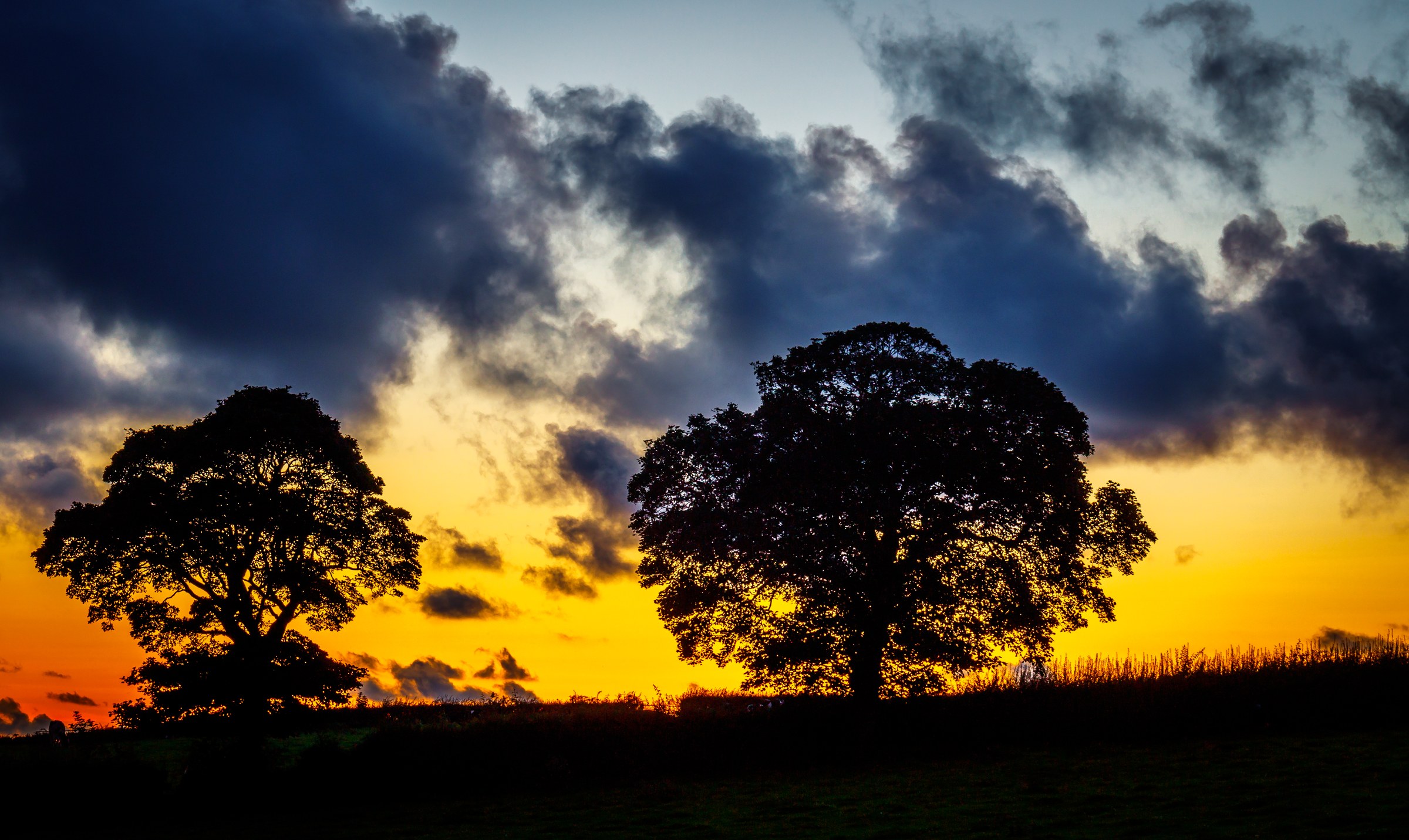 This breathtaking photograph captures the serene beauty of a sunset, with two majestic trees silhouetted against a vibrant sky. The dramatic interplay of light and shadow creates a perfect balance of tranquility and drama, making it a stunning focal point for any room. The warm hues of the sunset contrast beautifully with the cool tones of the clouds, evoking a feeling of a end of a day. This composition, with the trees framing the horizon, adds a perfect balance and symmetry to the image. This aesthetic appeal of this photograph is undeniable, making it a perfect addition to a living room, executive office, or modern gallery wall. Hang it in a living room to create a perfect focal point, or in the executive office to inspire creativity and calmness. The photograph is also perfect for those who love nature and want to bring a beauty of the outdoors into their home or office.